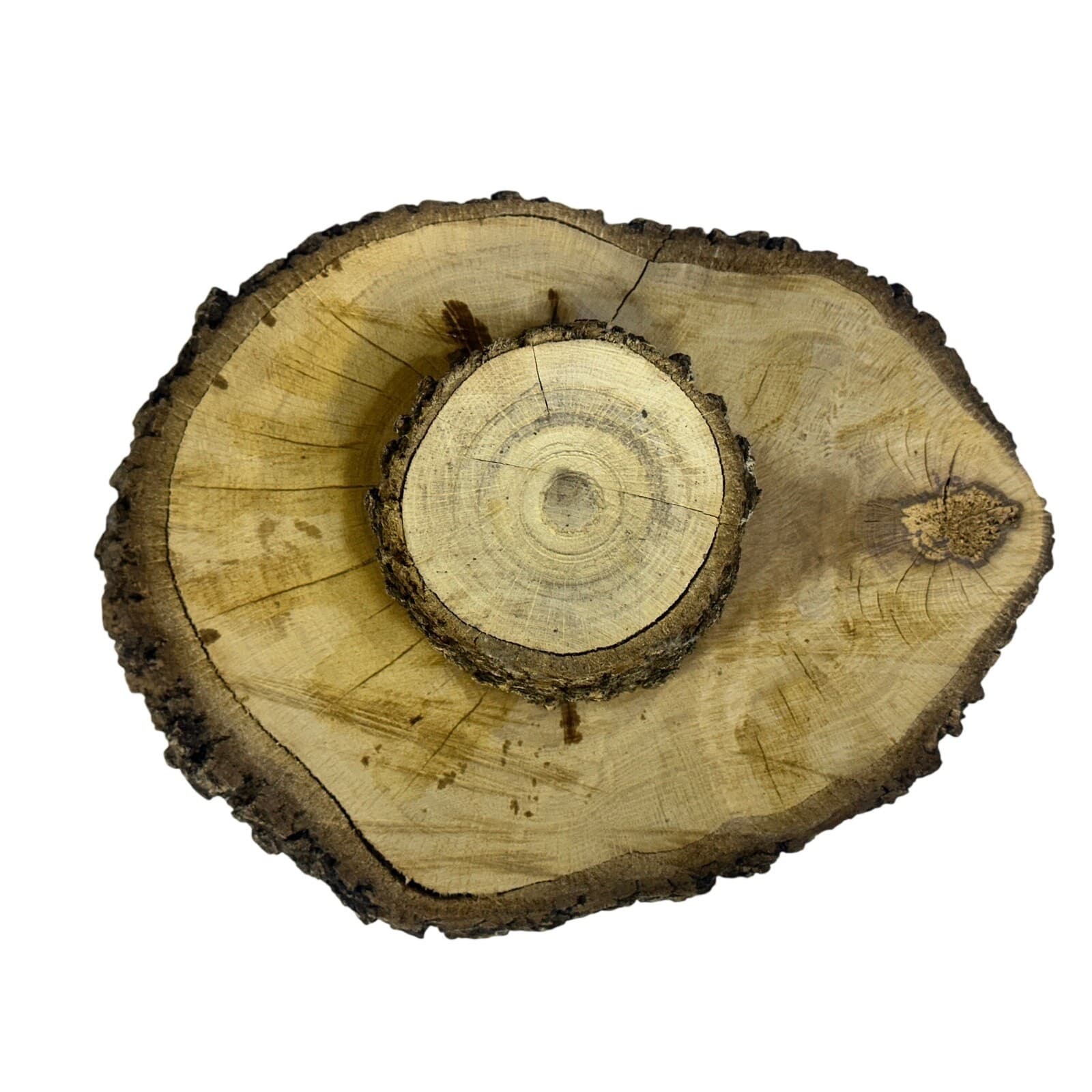 Unique Log Slab Pedestal Natural Wood 4.5" Cake Stand w/Rustic Bark Edge Accent - Thumbnail 7