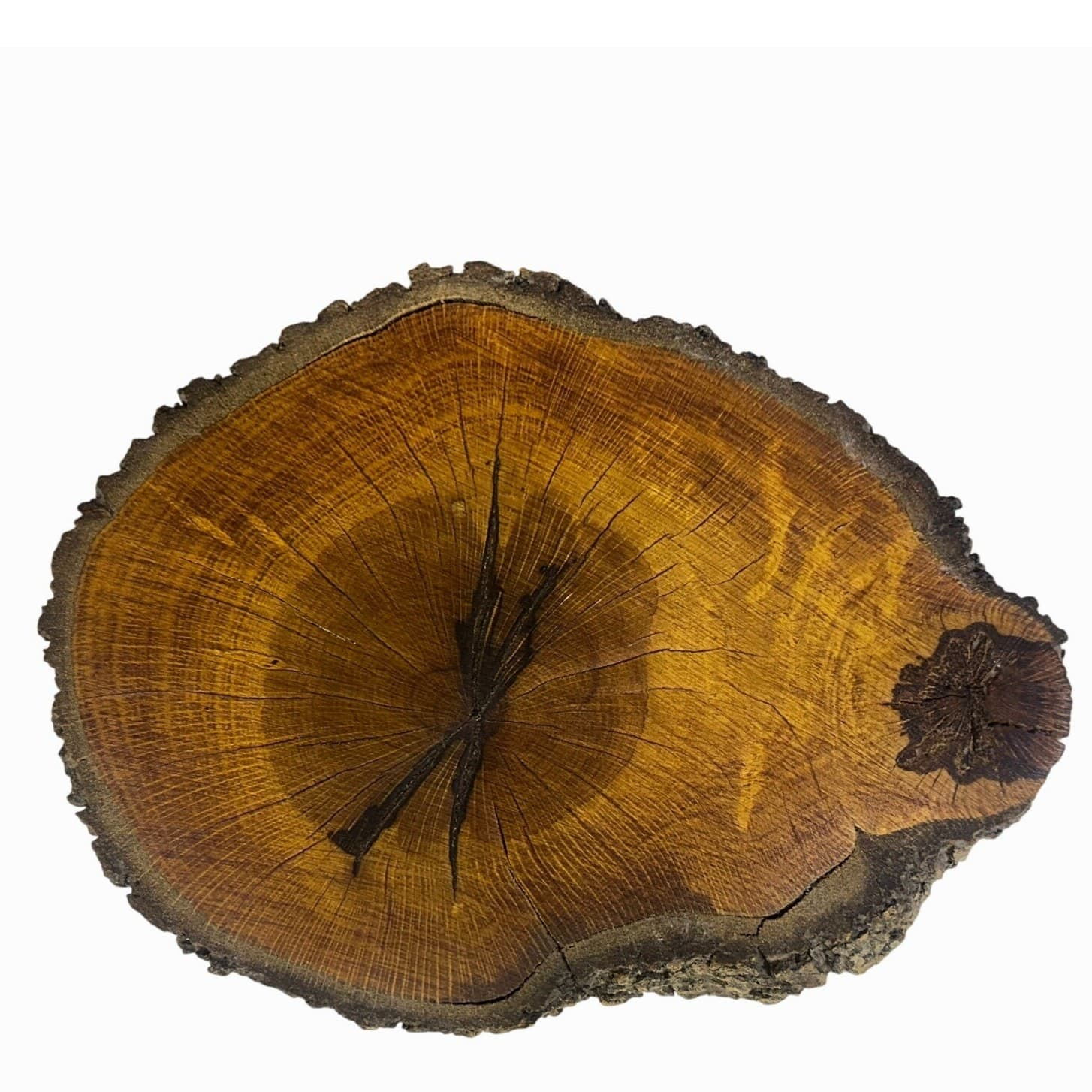 Unique Log Slab Pedestal Natural Wood 4.5" Cake Stand w/Rustic Bark Edge Accent - Thumbnail 4