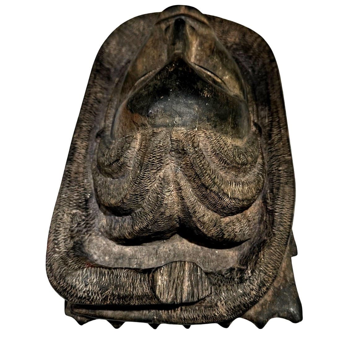 Tribal Wall Sculpture Mask of Woman Unknown Tribe or Peoples-Late 20th Century - Thumbnail 6