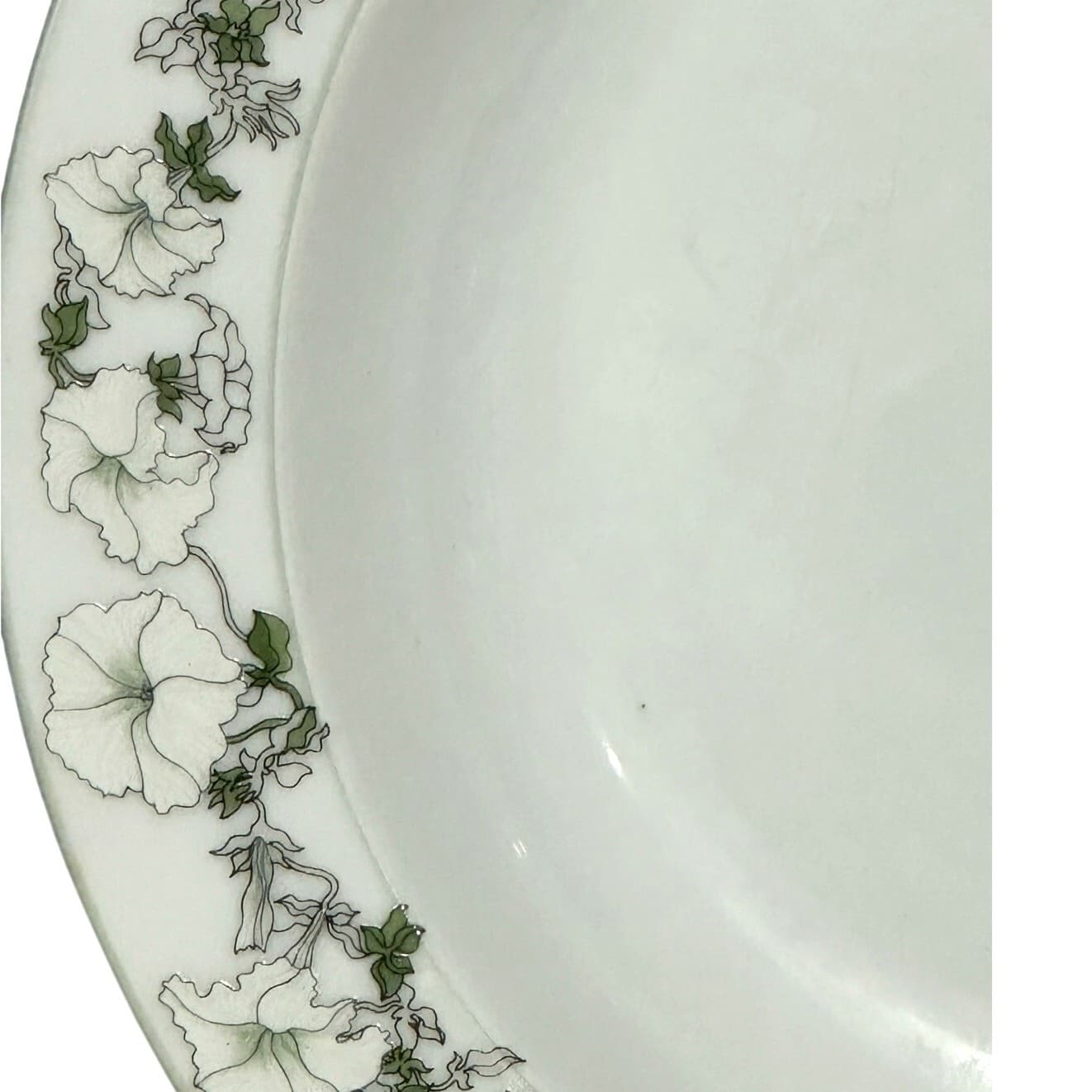 Watercolors Block Spal Portugal 'White Petunias' Rimmed Soup Bowls-Set of 4 - Thumbnail 2