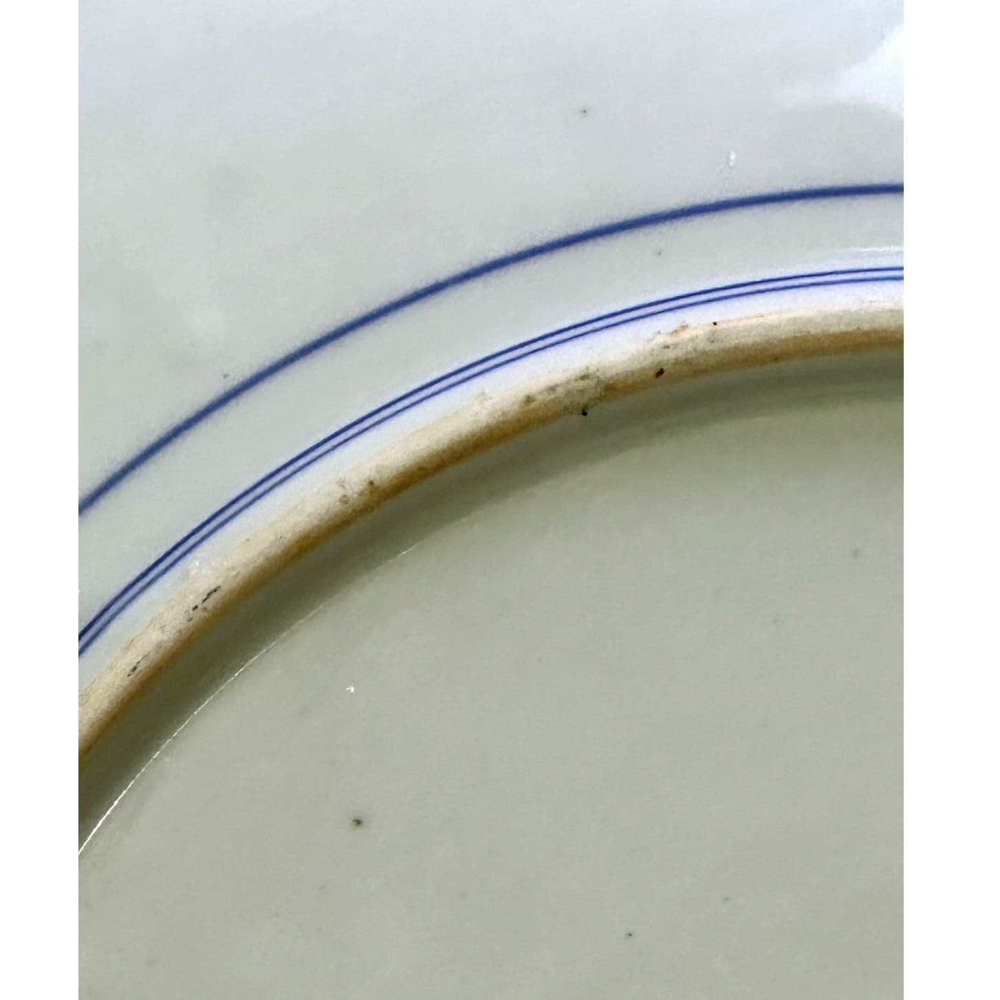 Antique Japanese Meiji Period 15" Charger Blue and White Landscape Arita Ware - Thumbnail 3