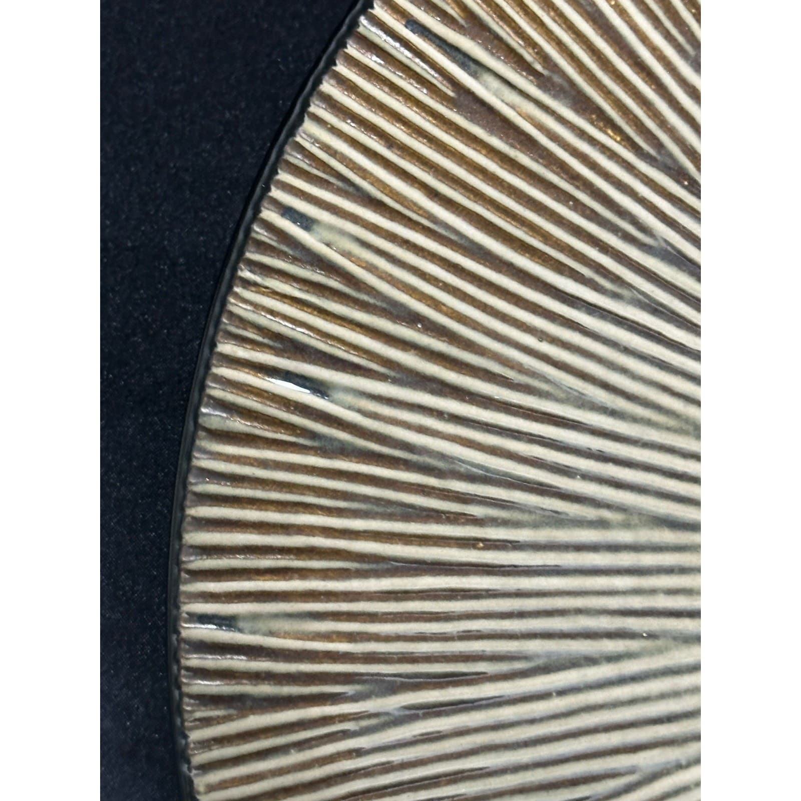 Home Trends Natural Serenity Brown Tan 11" Dinner Plate Gorgeous - Thumbnail 3