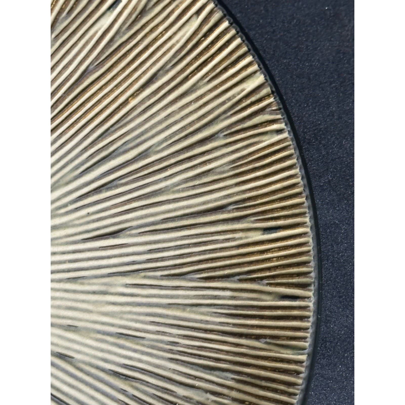 Home Trends Natural Serenity Brown Tan 11" Dinner Plate Gorgeous - Thumbnail 5