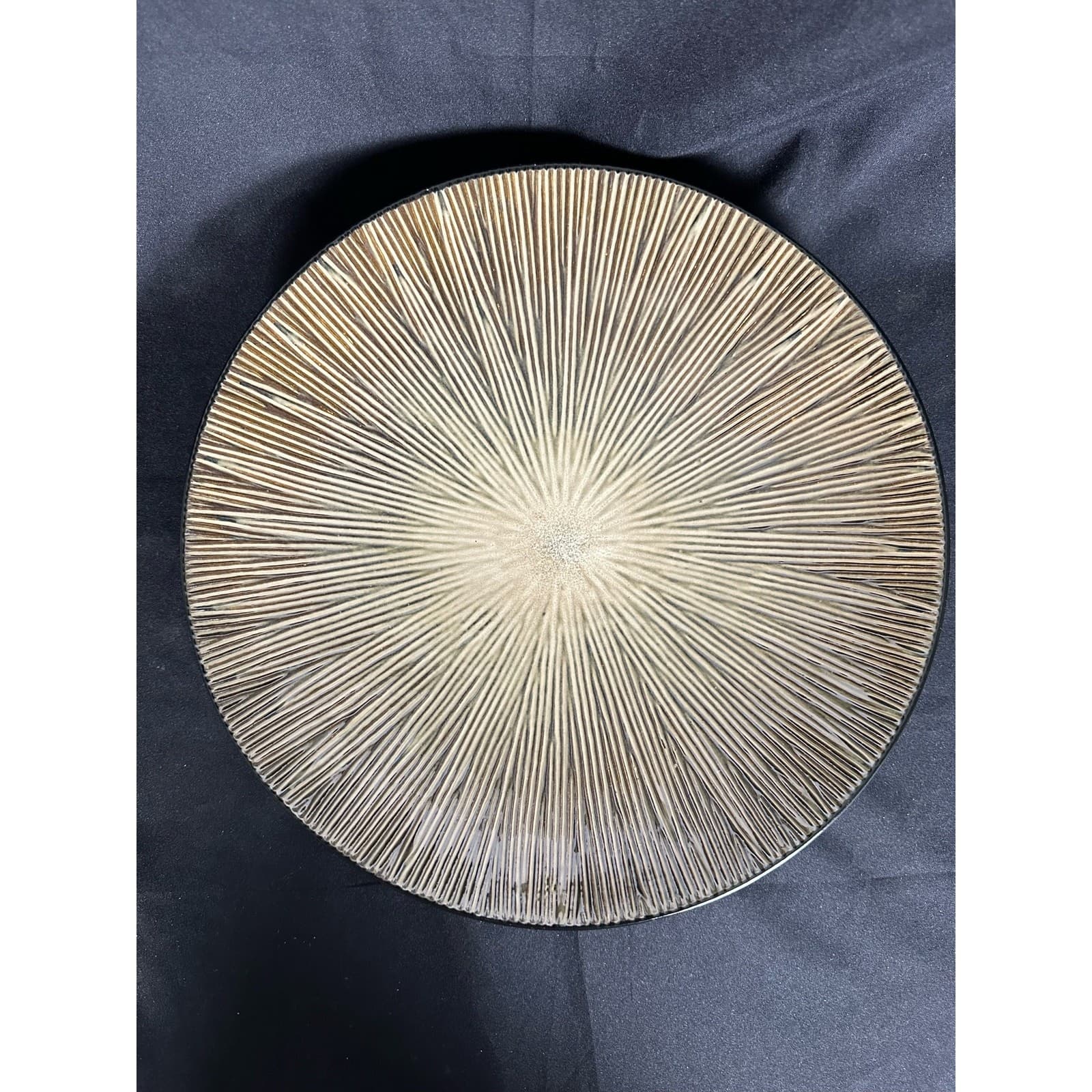 Home Trends Natural Serenity Brown Tan 11" Dinner Plate Gorgeous
