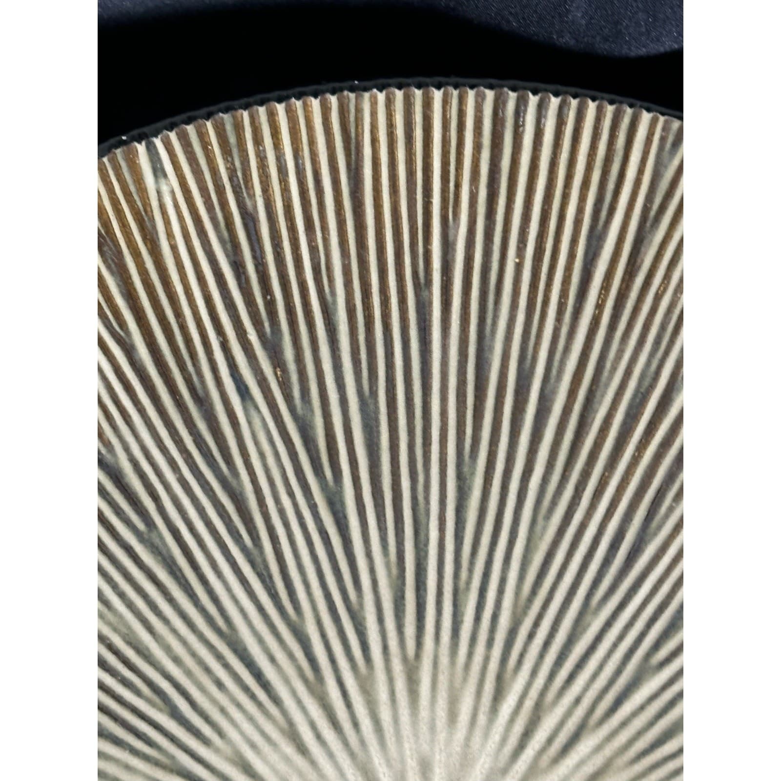 Home Trends Natural Serenity Brown Tan 11" Dinner Plate Gorgeous - Thumbnail 4