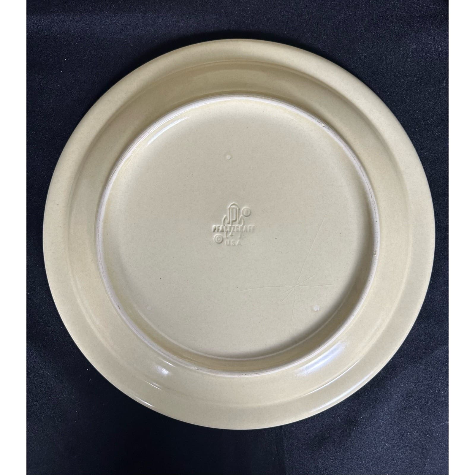 PFALTGRAIF Village Vintage 1970s Dinner Plates 10.5" Set of 4 - Thumbnail 4
