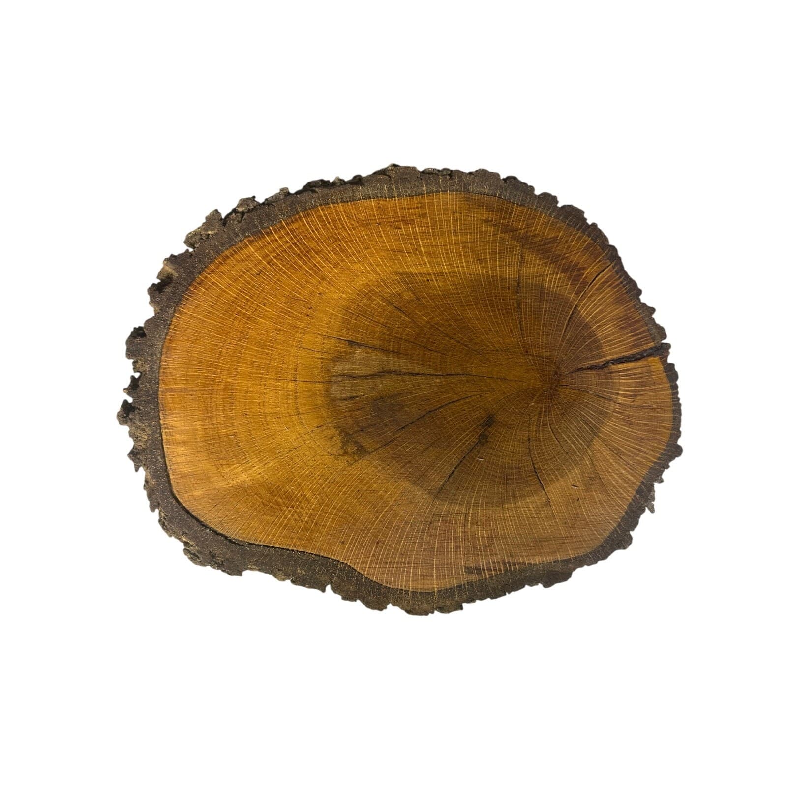 Unique Log Slab Pedestal Natural Wood 6.25" Cake Stand w/Rustic Bark Edge Accent - Thumbnail 4