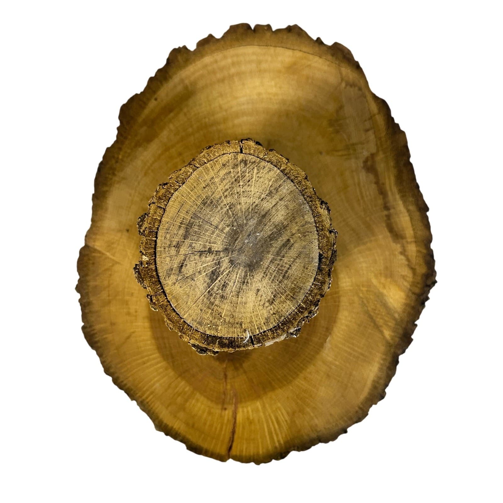 Unique Log Slab Pedestal Natural Wood 5.5" Cake Stand w/Rustic Bark Edge Accent - Thumbnail 7