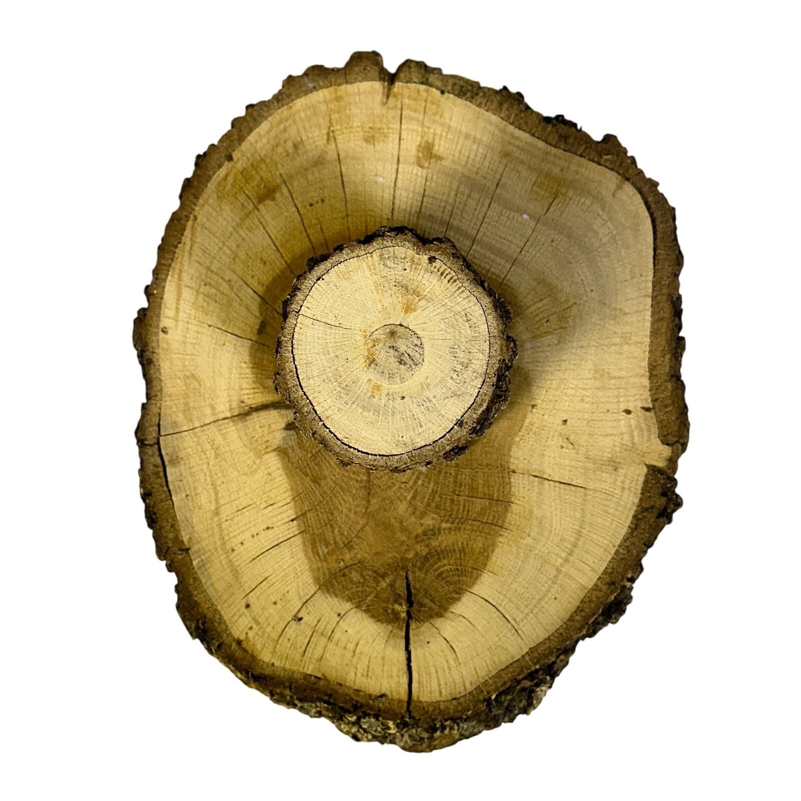 Unique Log Slab Pedestal Natural Wood 5.5" Cake Stand w/Rustic Bark Edge Accent - Thumbnail 6