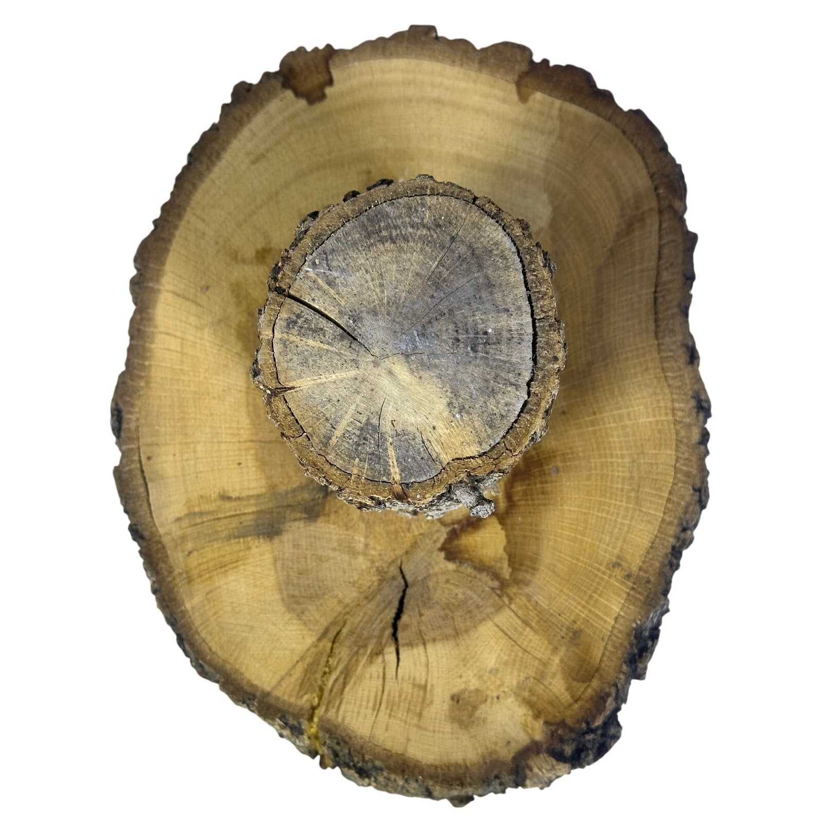 Unique Log Slab Pedestal Natural Wood 6.25" Cake Stand w/Rustic Bark Edge Accent - Thumbnail 7