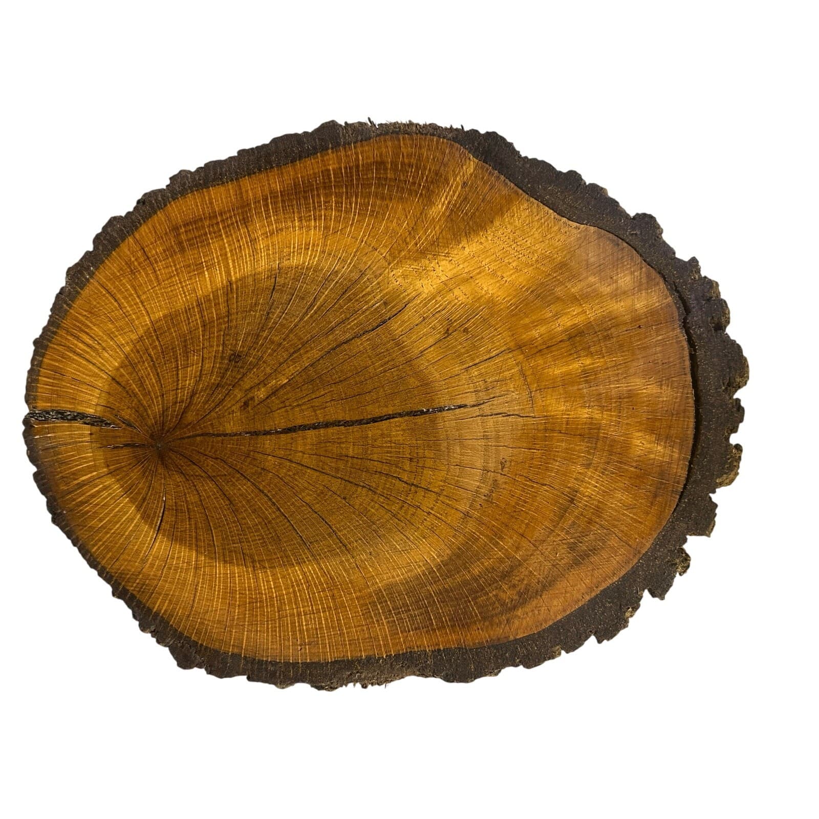 Unique Log Slab Pedestal Natural Wood 5.5" Cake Stand w/Rustic Bark Edge Accent - Thumbnail 3