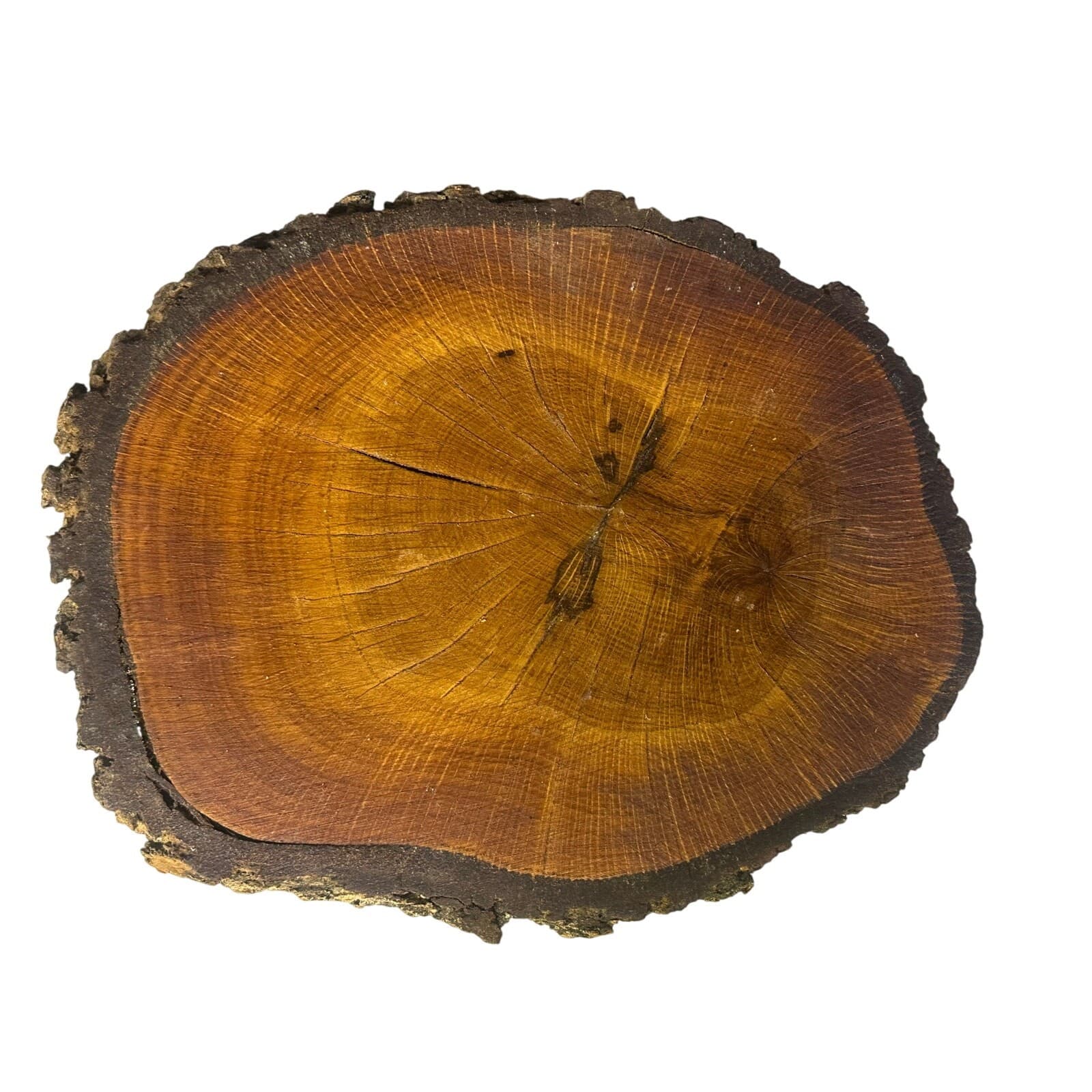 Unique Log Slab Pedestal Natural Wood 5.5" Cake Stand w/Rustic Bark Edge Accent - Thumbnail 4