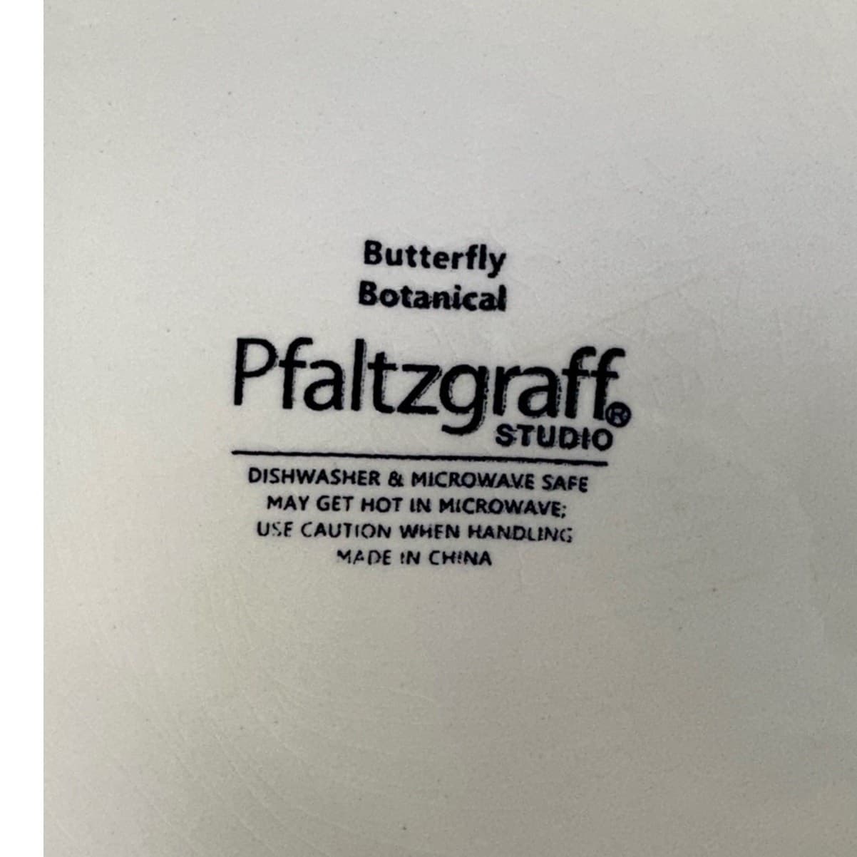 Pfaltzgraff Studio 'Butterfly Botanical' Vintage 10.75" Dinner Plates-Set of 2 - Thumbnail 8