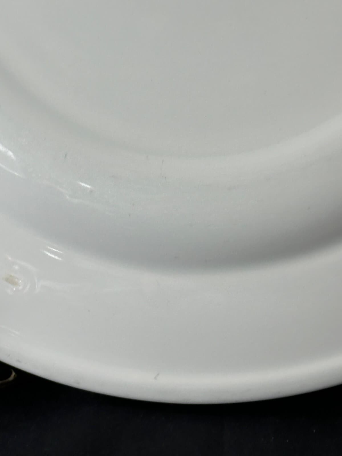 Dudson Duraline Finest Vitrified Stoke on Trent 12.75" Dinner Plate/Charger - Thumbnail 11