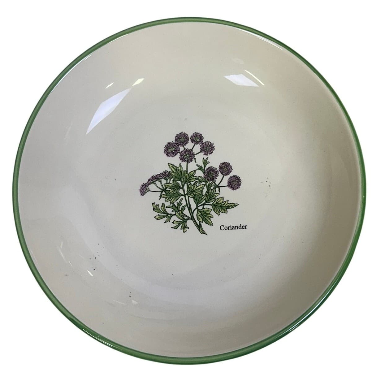World Market Ceramic Pasta Bowl Set-Serving Bowl/4 Individual Bowls-Herbs Design - Thumbnail 4
