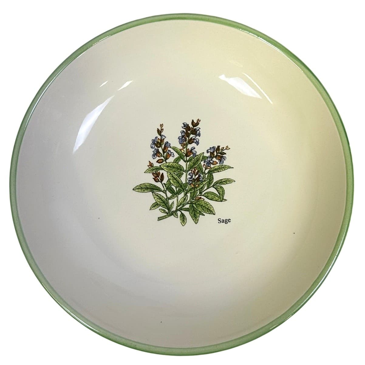 World Market Ceramic Pasta Bowl Set-Serving Bowl/4 Individual Bowls-Herbs Design - Thumbnail 6