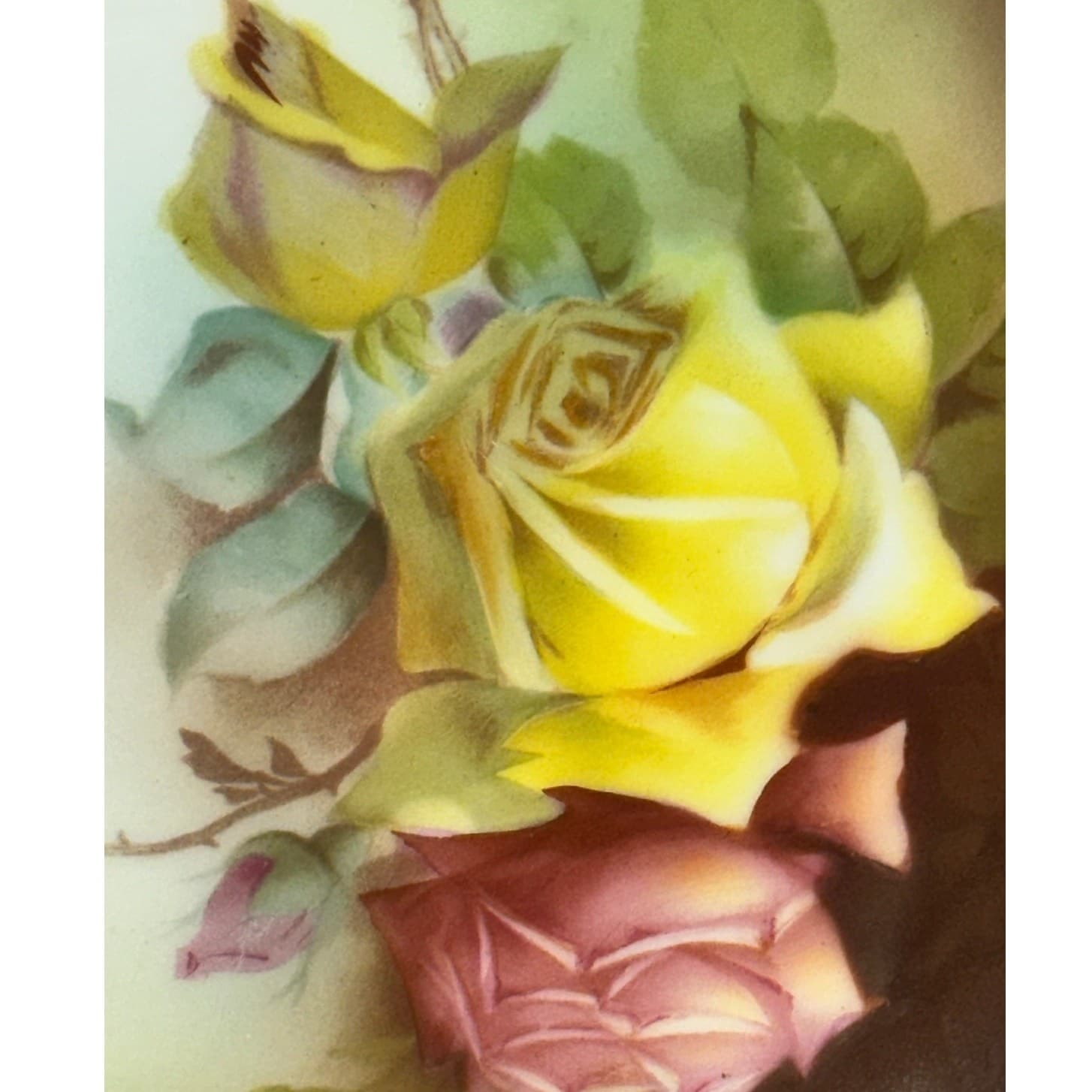 Thomas Sevres Bavaria 'Marechal Neil Rose' Hand Painted Signed 8.5" Plate - Thumbnail 2