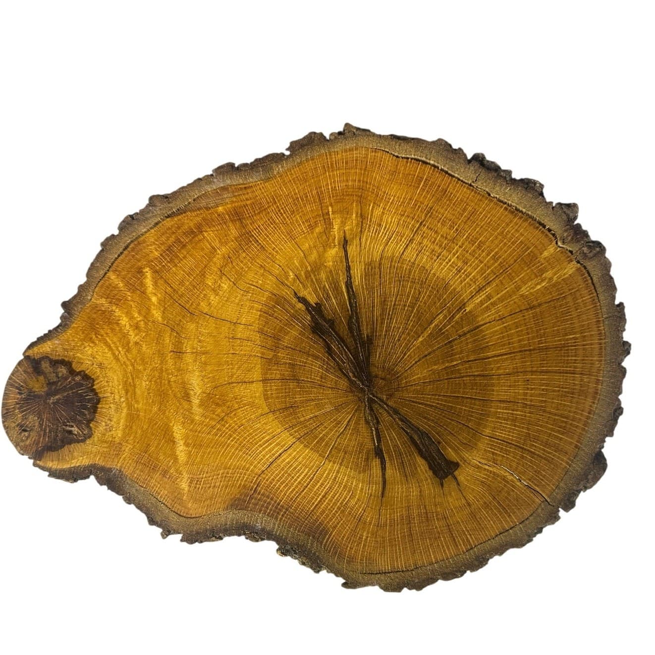 Unique Log Slab Pedestal Natural Wood 5.75" Cake Stand w/Rustic Bark Edge Accent - Thumbnail 4