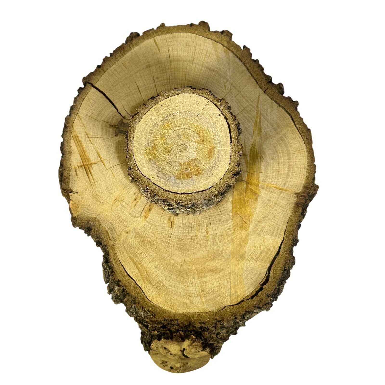 Unique Log Slab Pedestal Natural Wood 5.75" Cake Stand w/Rustic Bark Edge Accent - Thumbnail 7