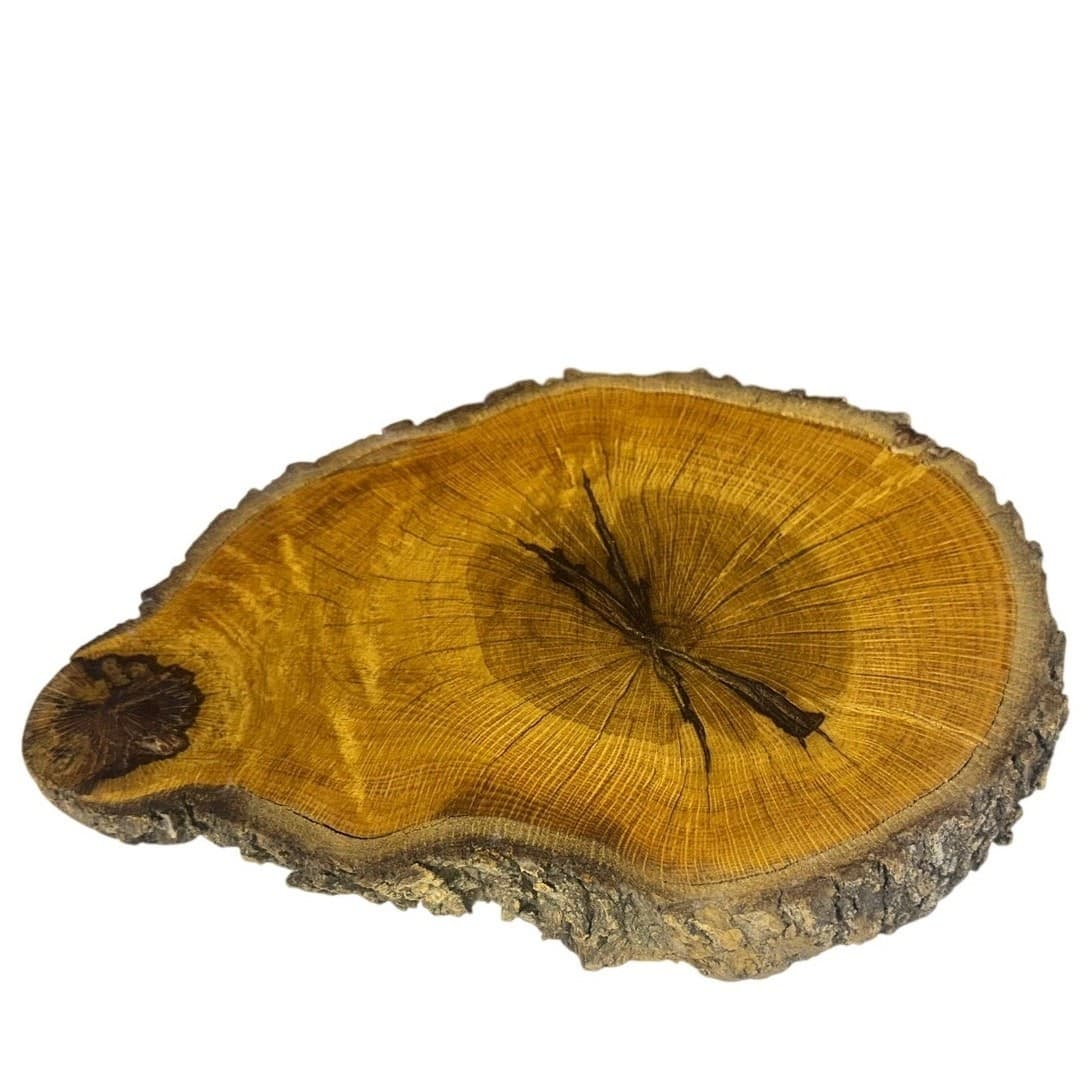 Unique Log Slab Pedestal Natural Wood 5.75" Cake Stand w/Rustic Bark Edge Accent - Thumbnail 2