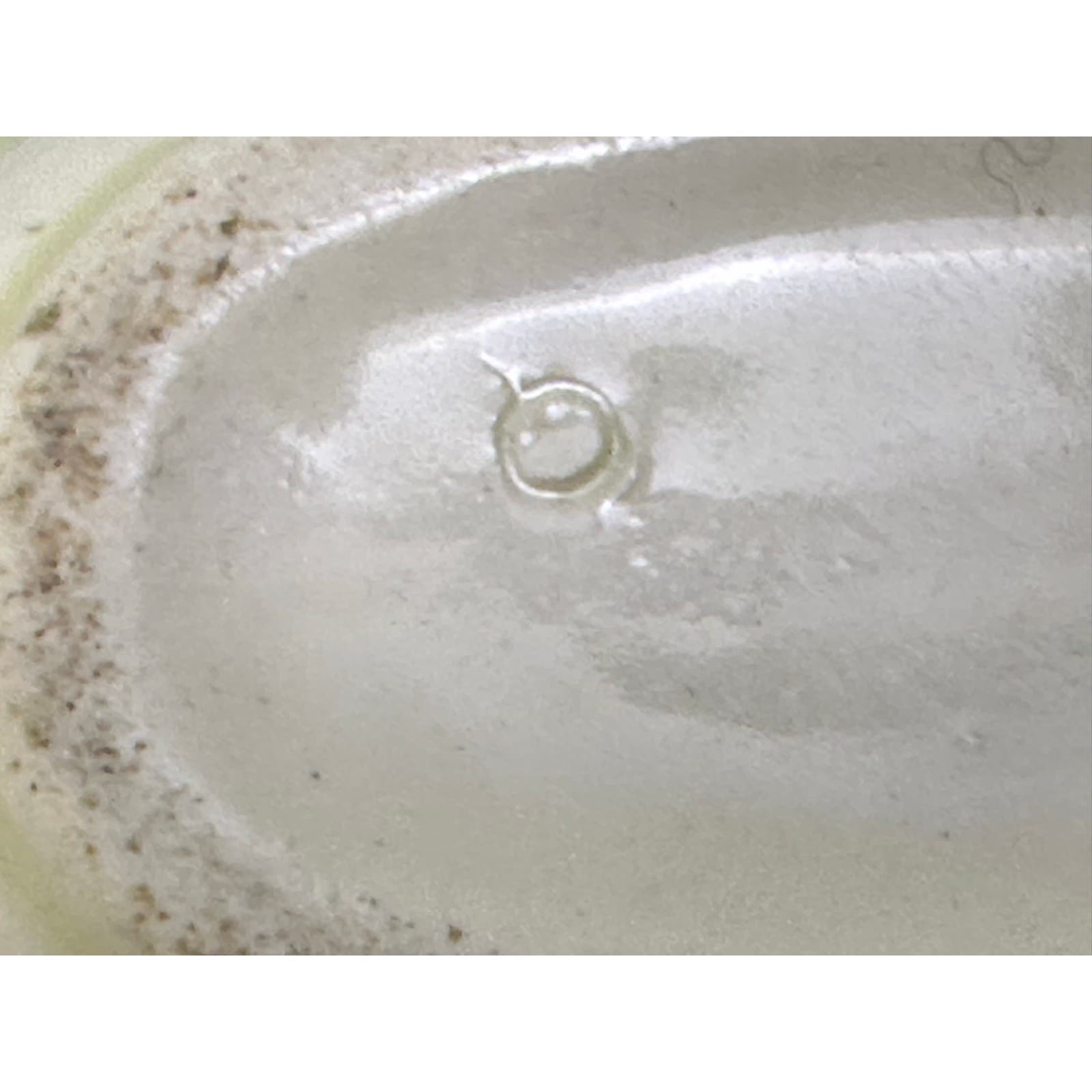 Wedgwood England Antique Late 1800's Majolica Small Oval Dish Floral Motifs-Rare - Thumbnail 9