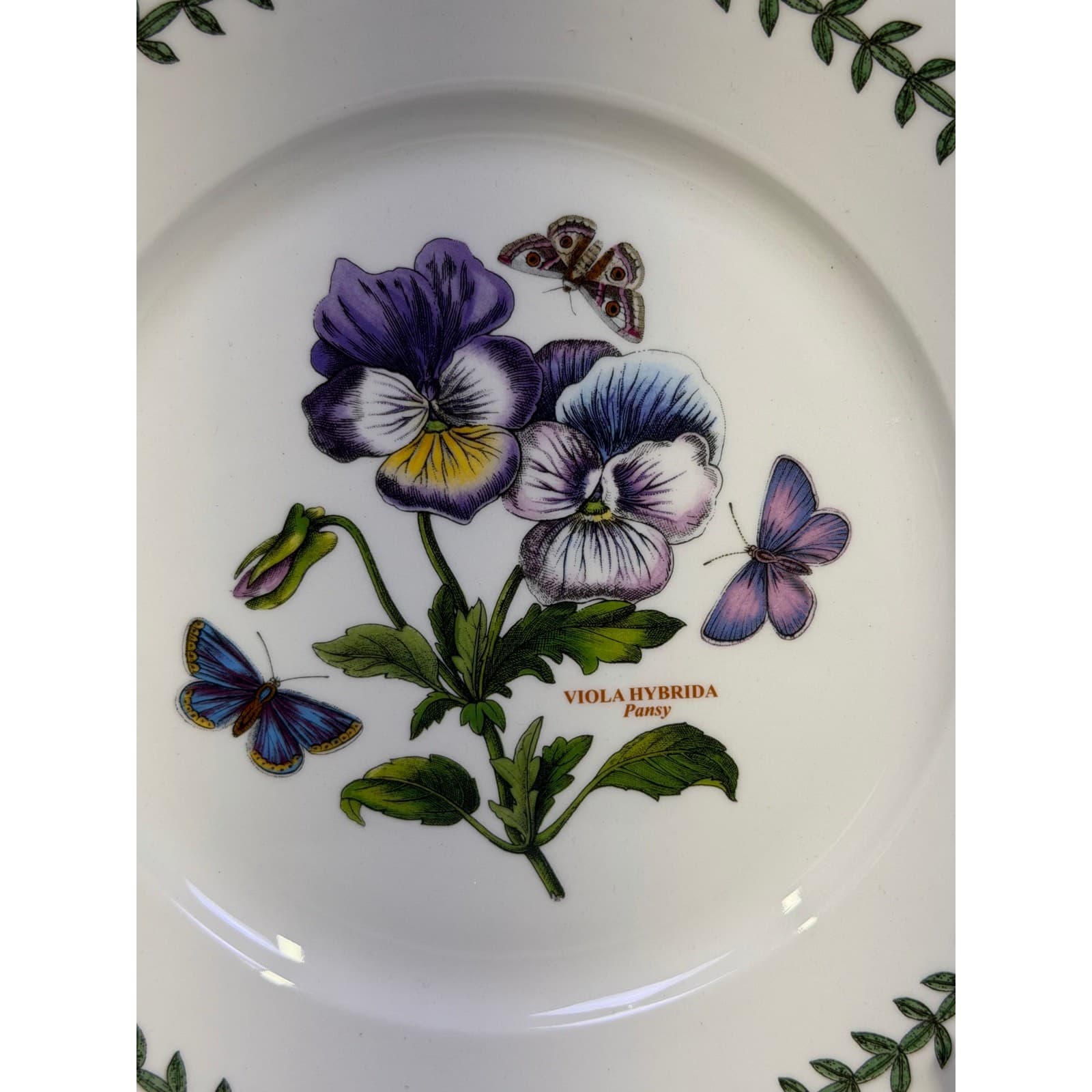 Portmeirion Retired Botanic Garden 9.25" 'Pansy' Luncheon Plate-New with Tag - Thumbnail 4