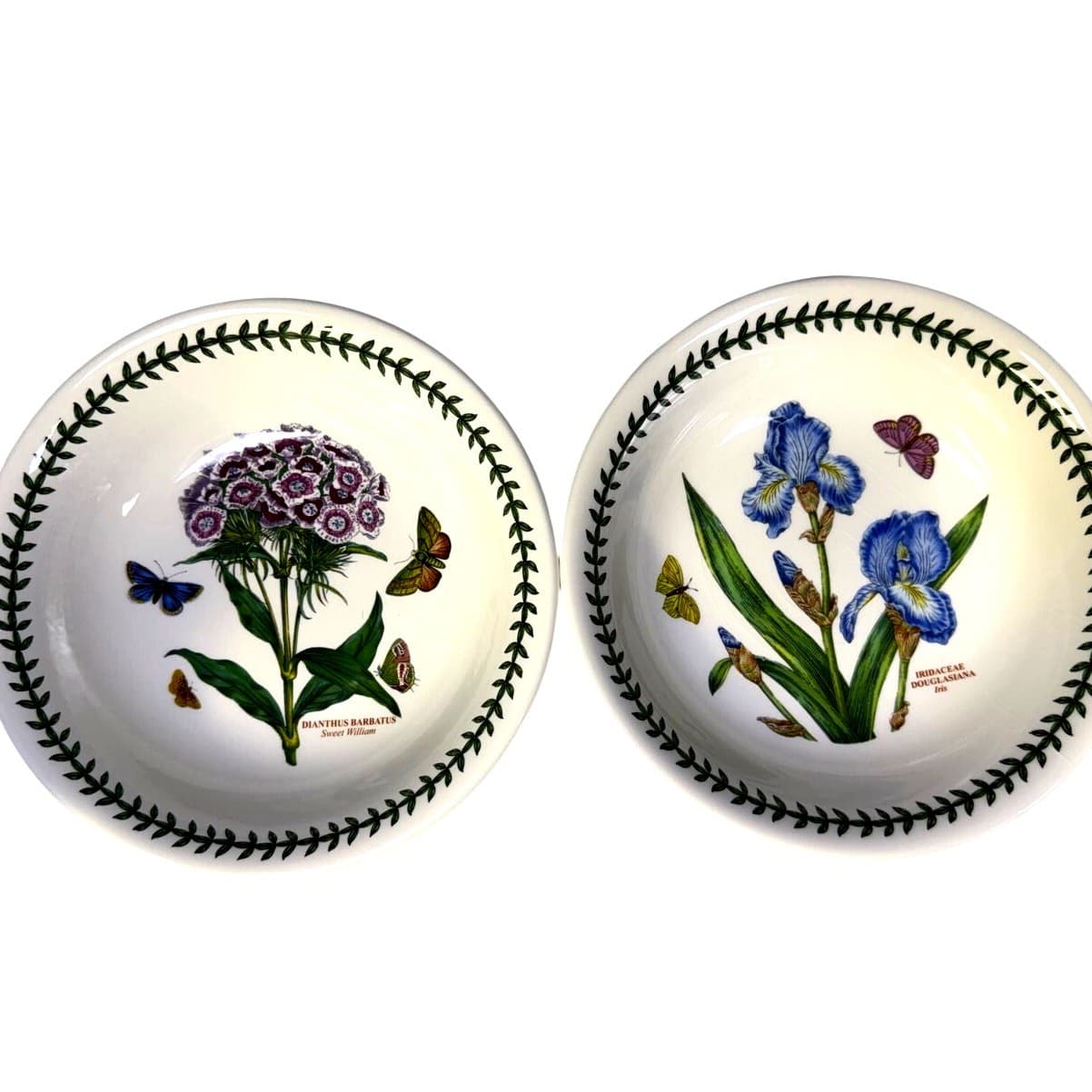 Portmeirion Botanic Garden England 'Iris & Sweet William' Individual Pasta Bowls