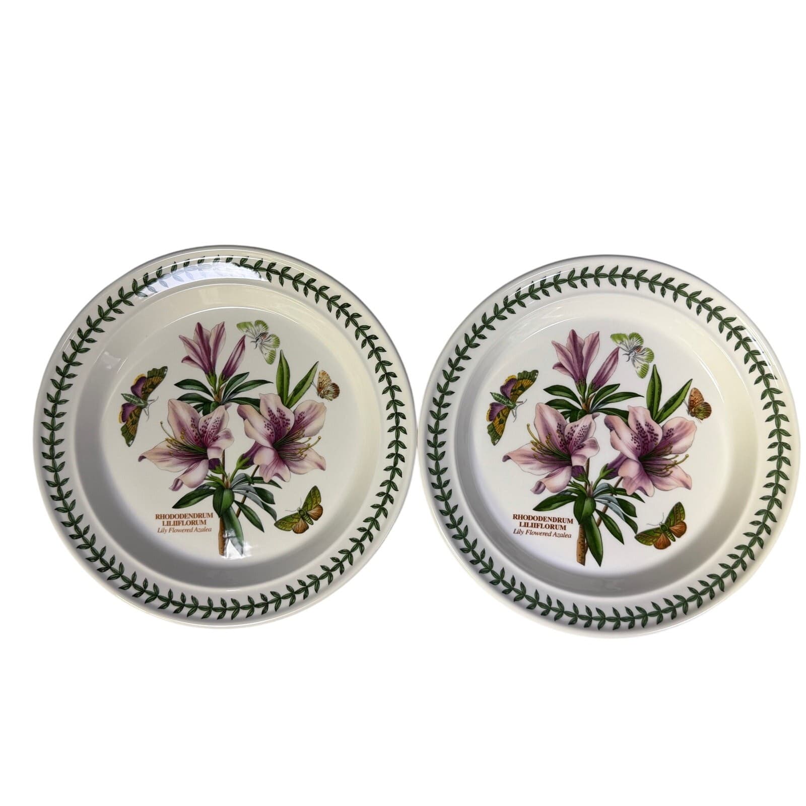 Portmeirion Botanic Garden 1972 England Dinner Plates-Set of 9-Excellent! - Thumbnail 7