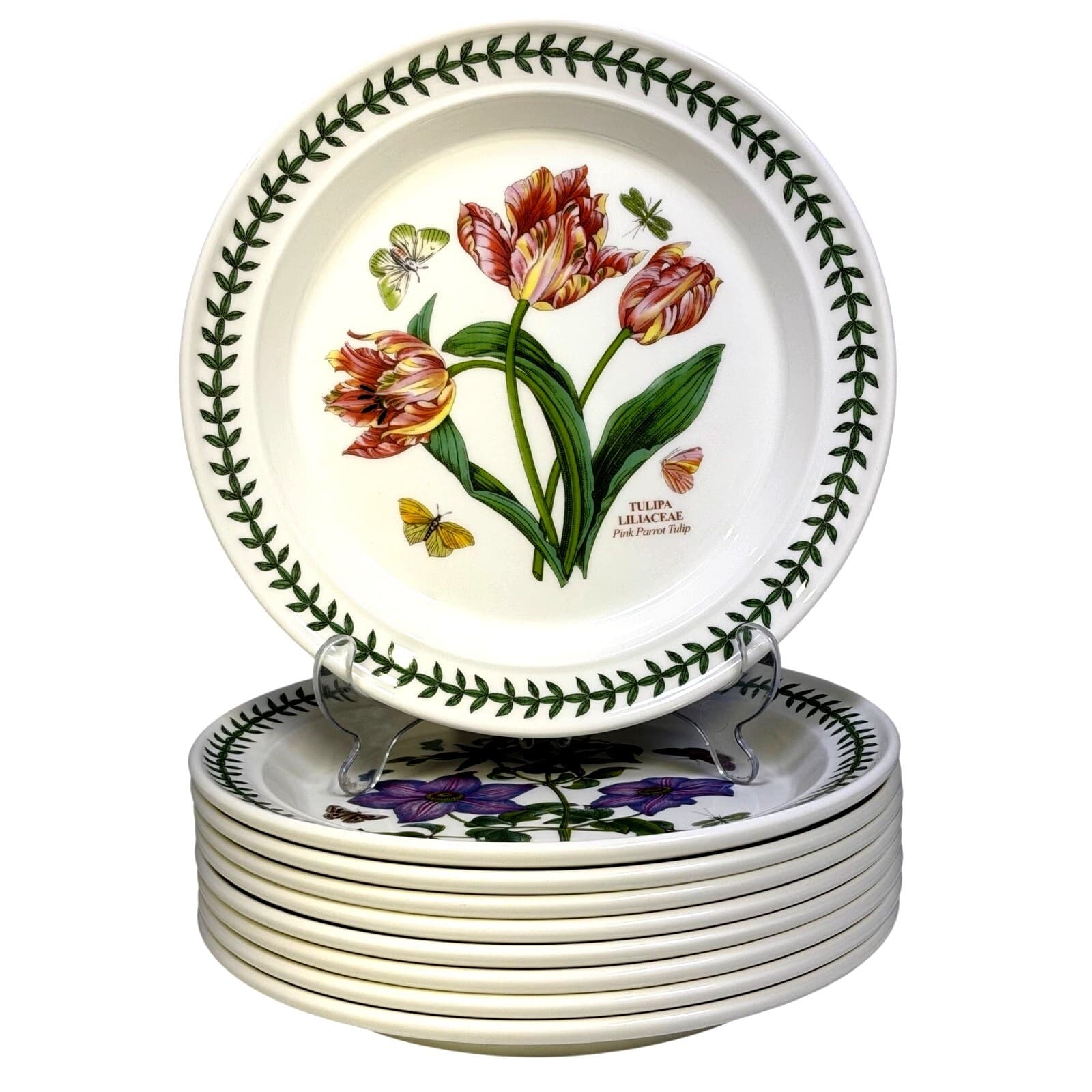 Portmeirion Botanic Garden 1972 England Dinner Plates-Set of 9-Excellent!