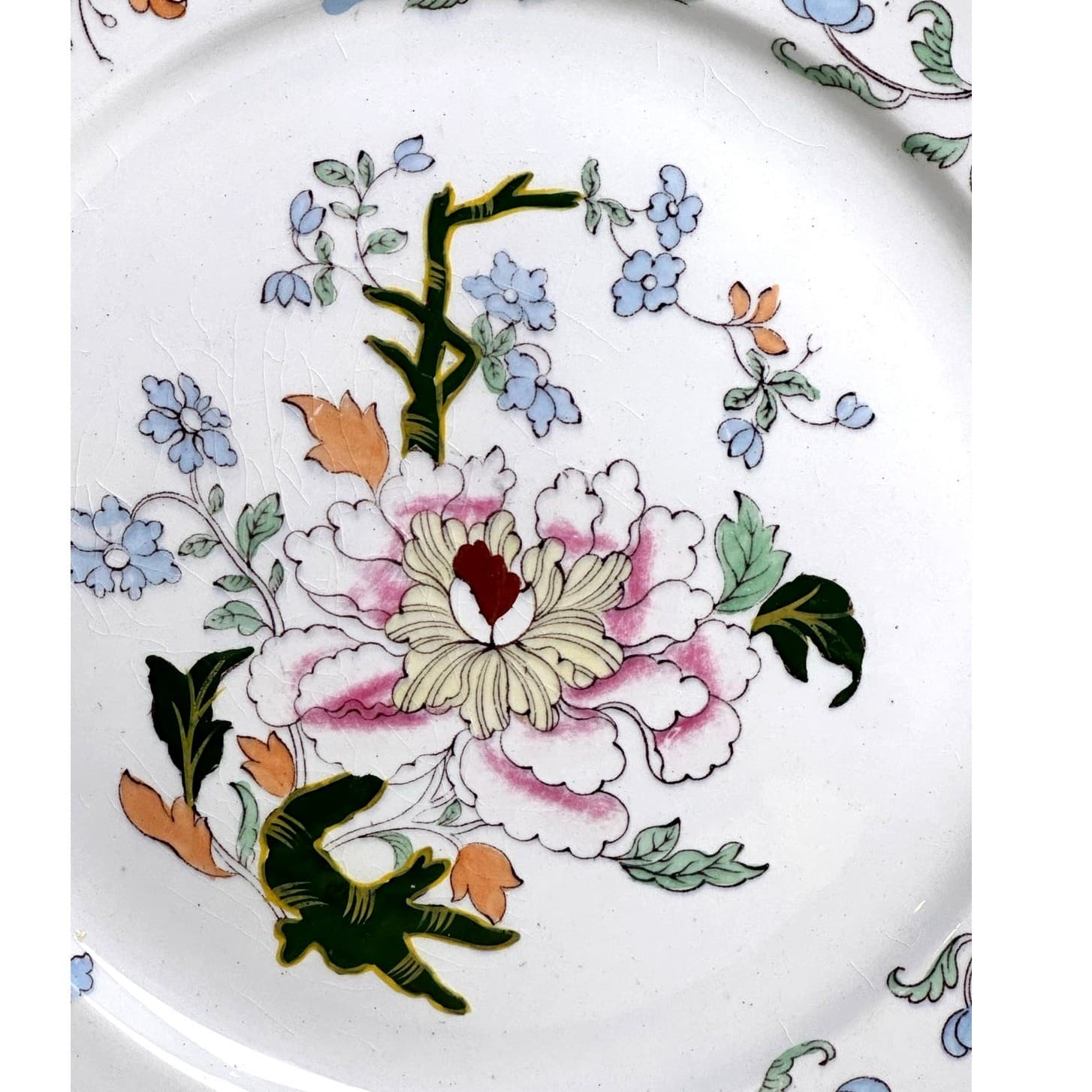 Antique 1900's Ashworth Brothers Hanley England 10.25" Floral Dinner Plate - Thumbnail 2