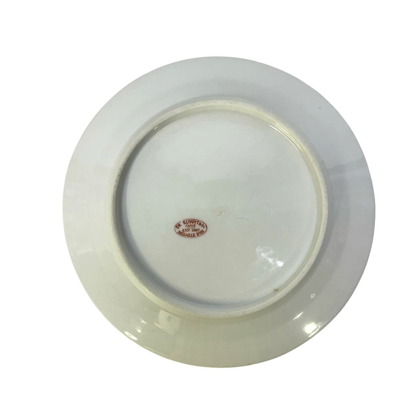 Antique C H Pillivuyt & Co Paris Mid-Late 1800's Plates & Serving Bowl-14 Pieces - Thumbnail 12