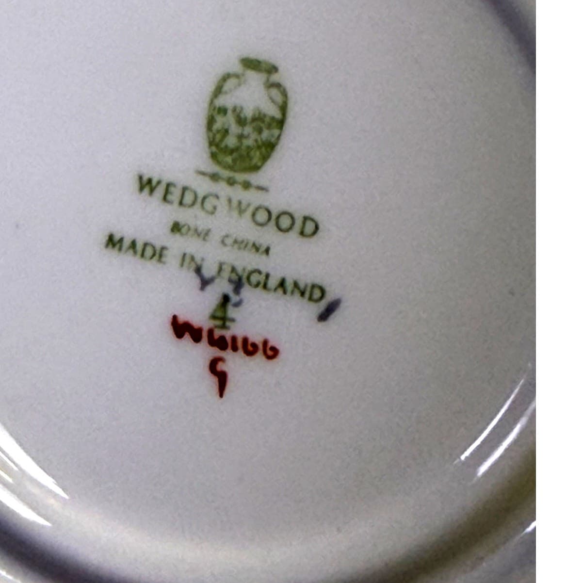 Wedgwood Retired 1952-1965 'Wild Oats' Bone China 5 5/8" Cup Saucers-Set of 4 - Thumbnail 4