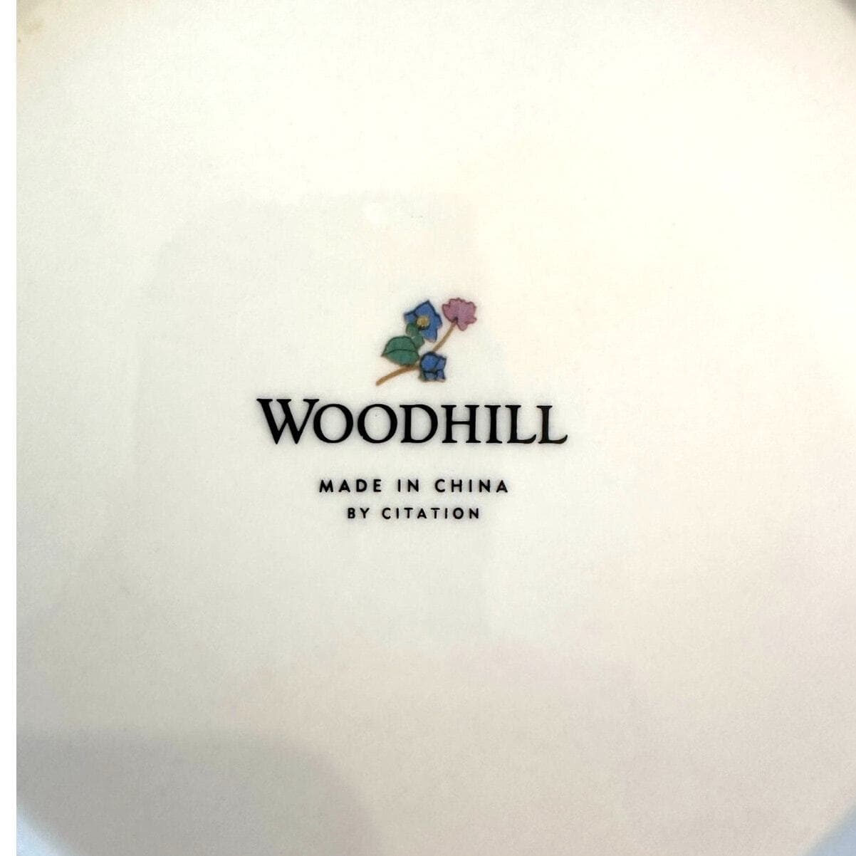 Woodhill by Citation-2 Dinner Plates 2 Salad Plates 2 Saucers-6 Pieces Total - Thumbnail 5