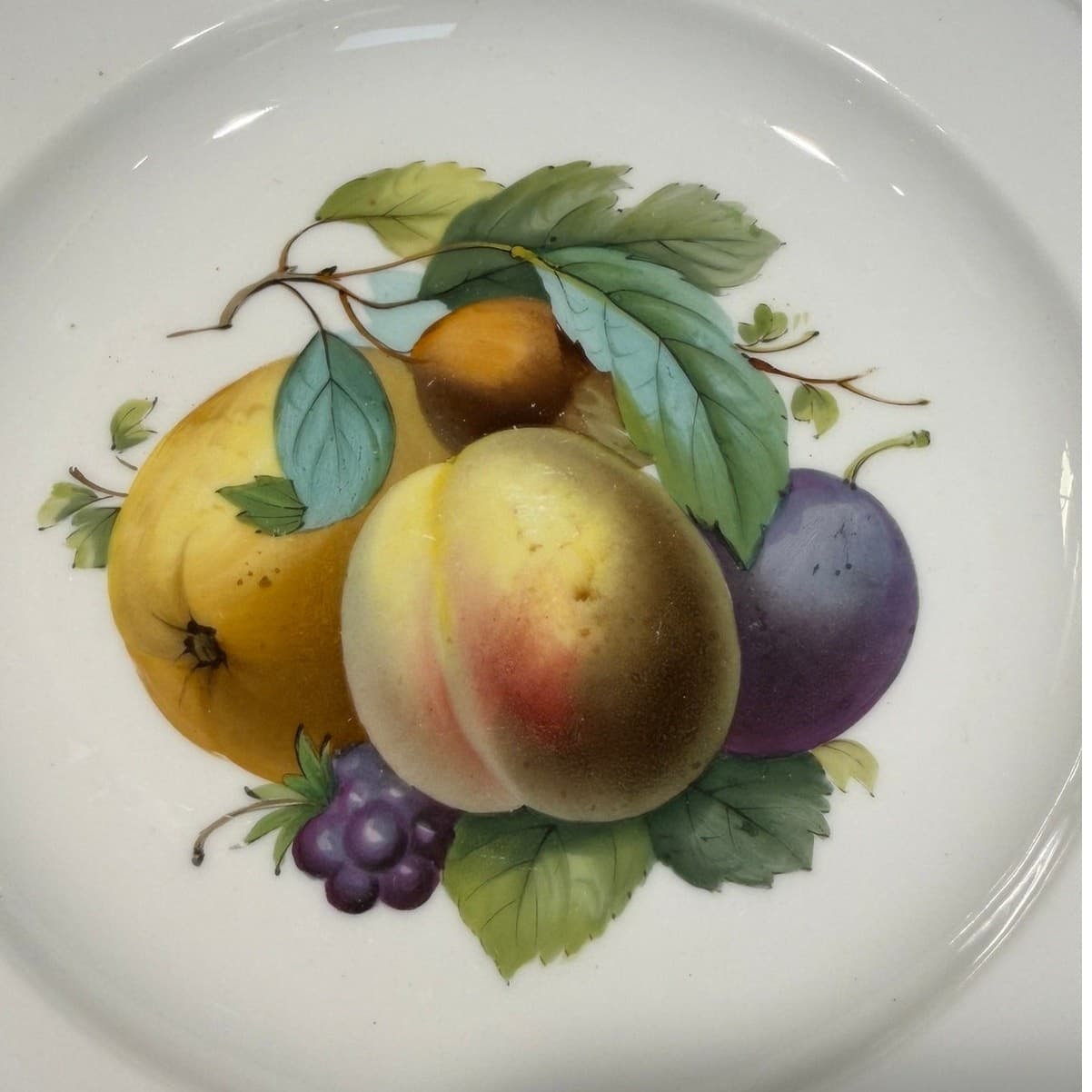 K.S.T.M. Meissen Germany Vintage Handpainted Fruit Porcelain 8" Shallow Bowl - Thumbnail 5