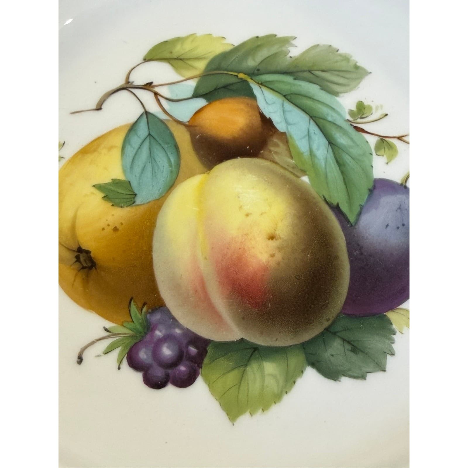K.S.T.M. Meissen Germany Vintage Handpainted Fruit Porcelain 8" Shallow Bowl - Thumbnail 2