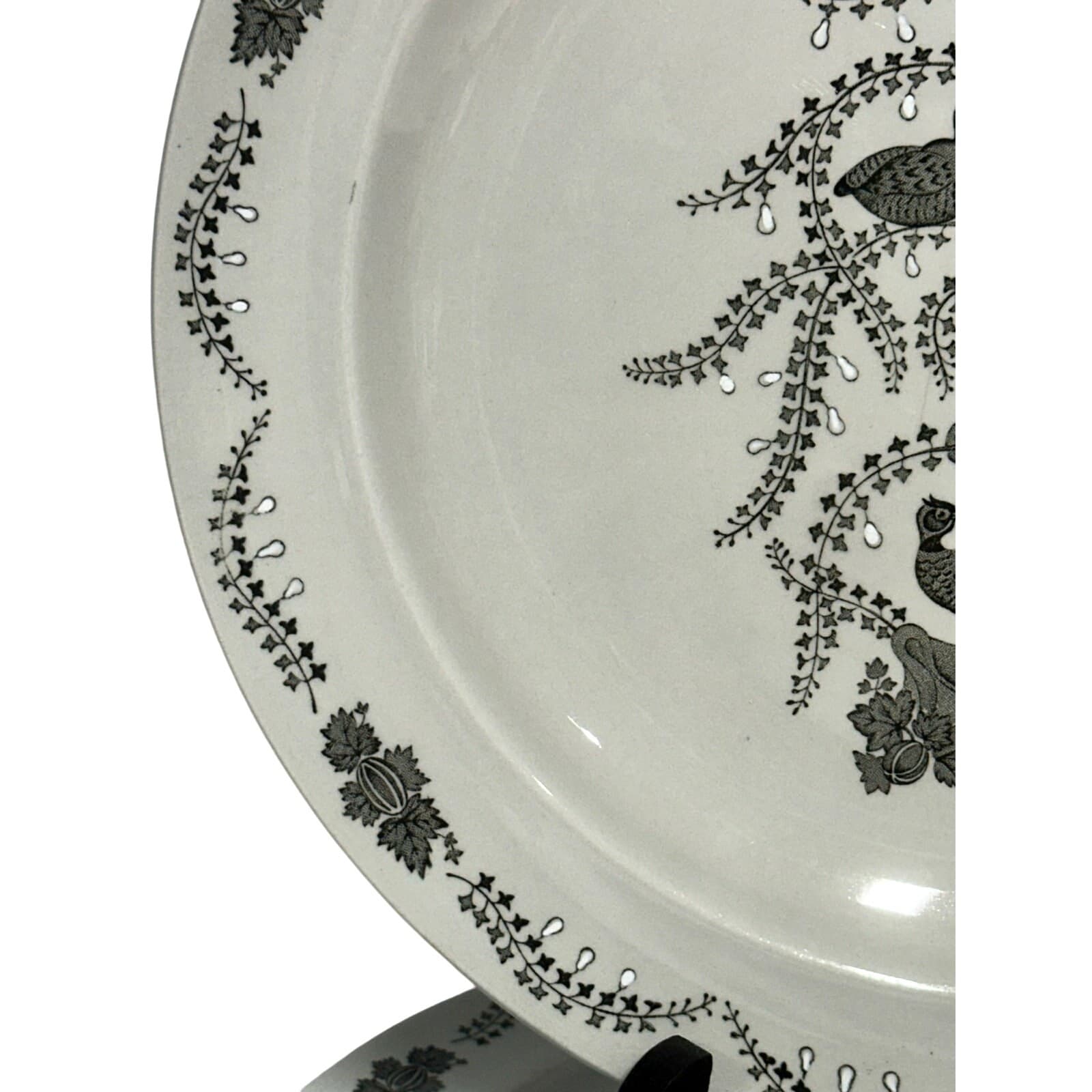 Wedgwood 1957-1964 Retired 'Partridge in a Pear Tree' Dinner Plate-Excellent - Thumbnail 4