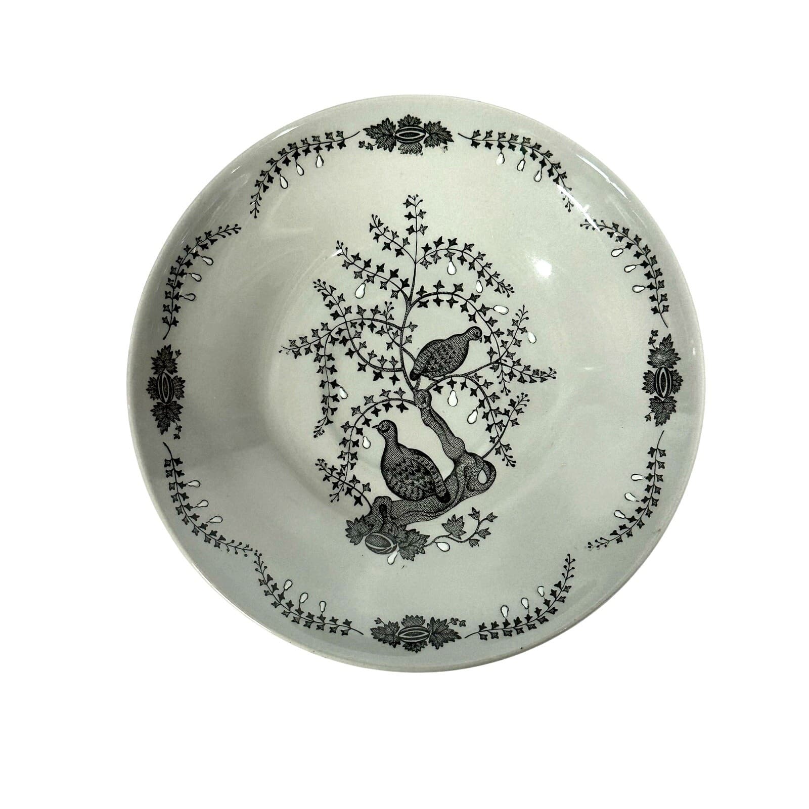 Wedgwood 1957-1964 Retired 'Partridge in a Pear Tree' 2 Footed Cups/4 Saucers - Thumbnail 4