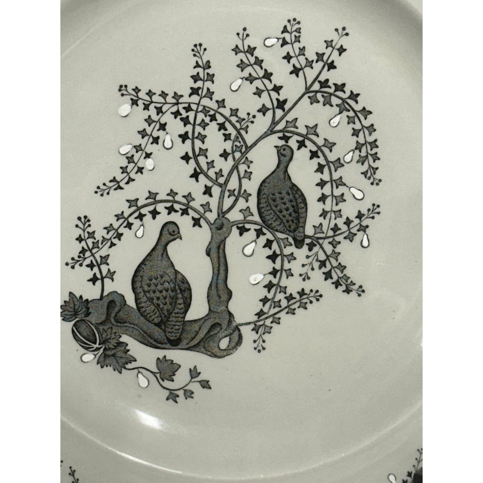 Wedgwood 1957-1964 Retired 'Partridge in a Pear Tree' Salad Plate-Set of 5 - Thumbnail 3