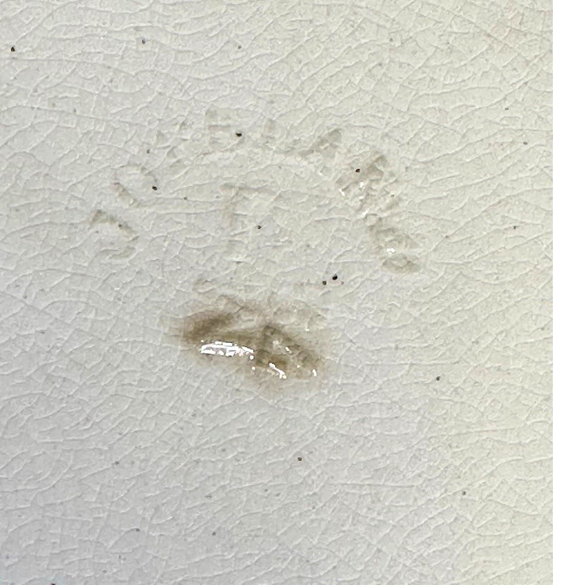 Copeland Spode Aesthetic Movement c. 1870-1890 Large Chelsea Bird 8 3/8" Plate - Thumbnail 6