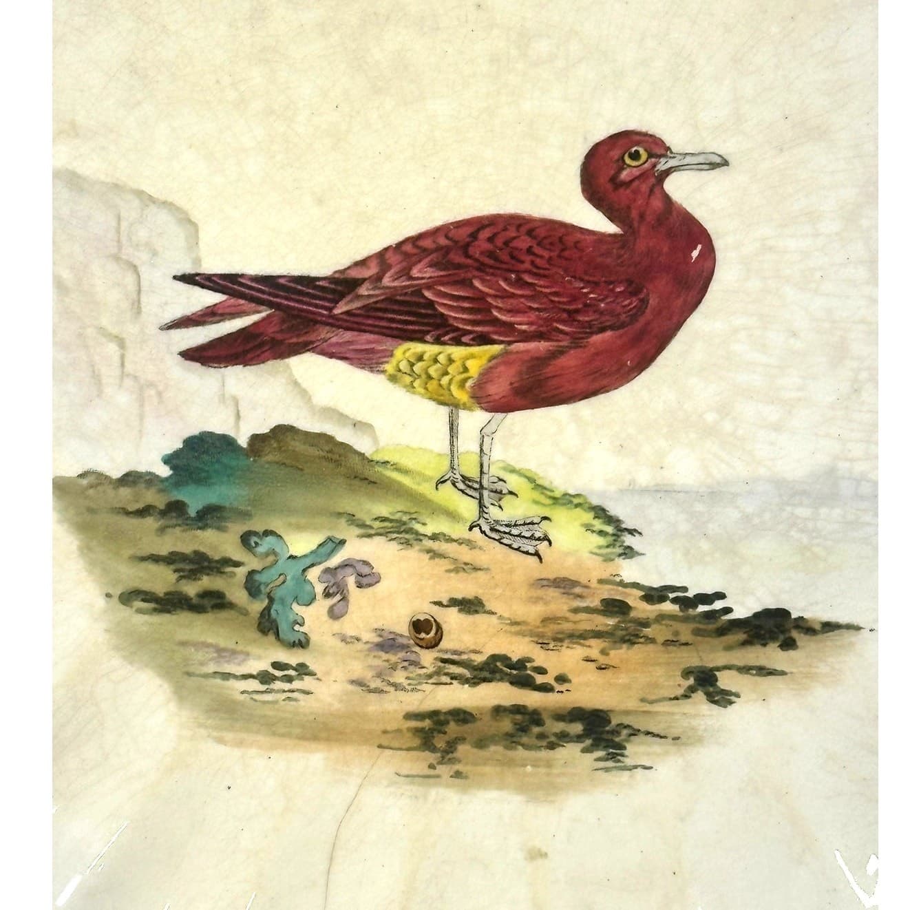 Copeland Spode Aesthetic Movement c. 1870-1890 Large Chelsea Bird 8 3/8" Plate - Thumbnail 2