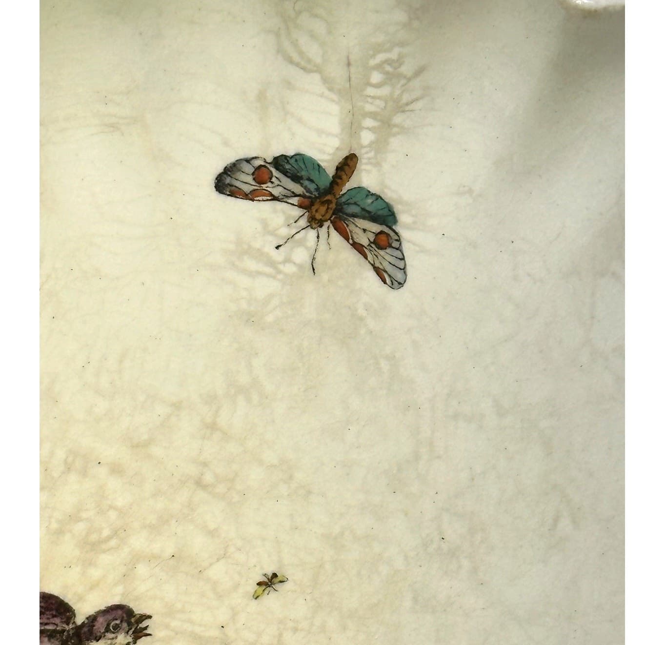 Copeland Spode Aesthetic Movement c. 1870-1890 Chelsea Bird Flower 8 3/8" Plate - Thumbnail 4