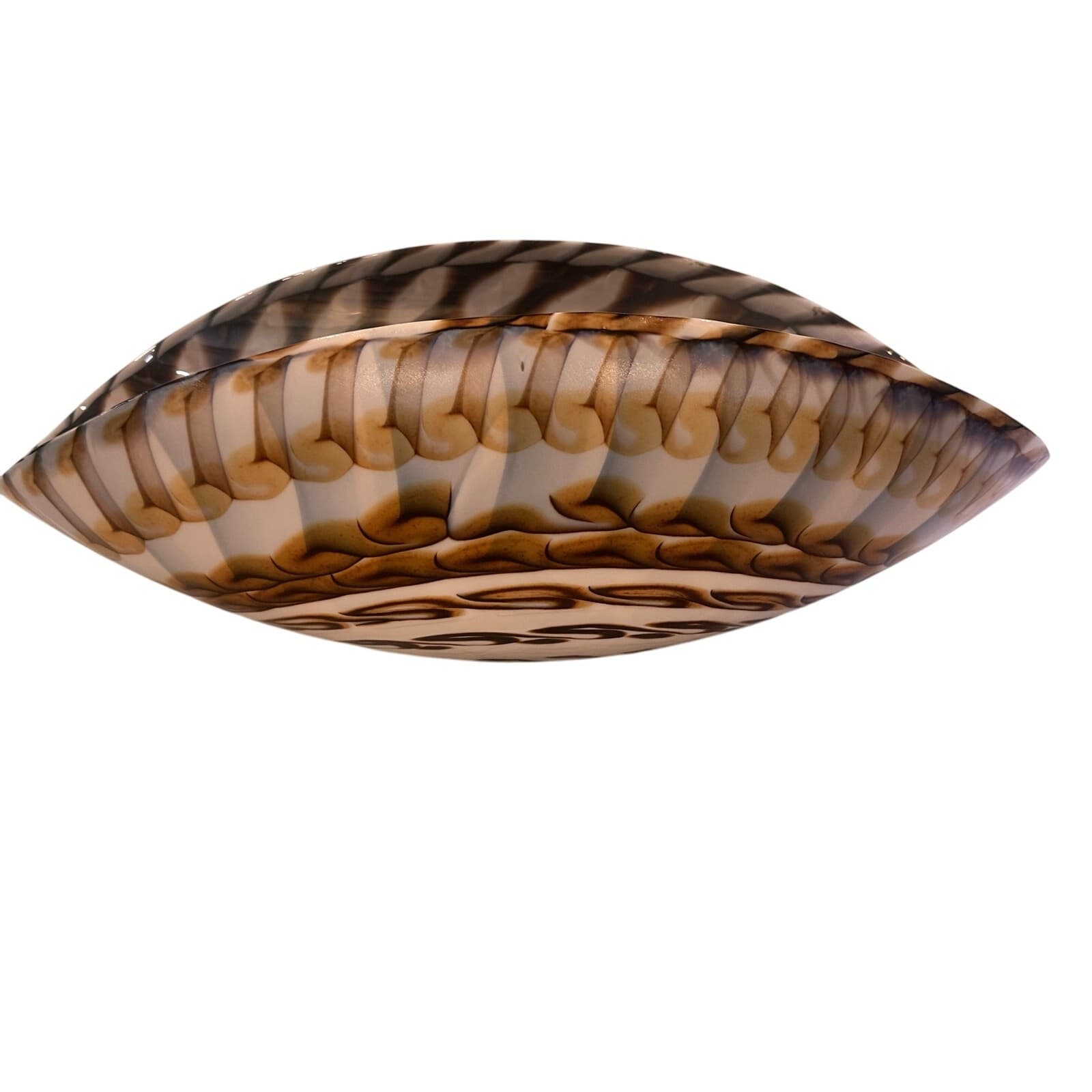 Murano Art Glass Folded Seashell 20.75" Iridescent Brown White Blue Centerpiece - Thumbnail 5