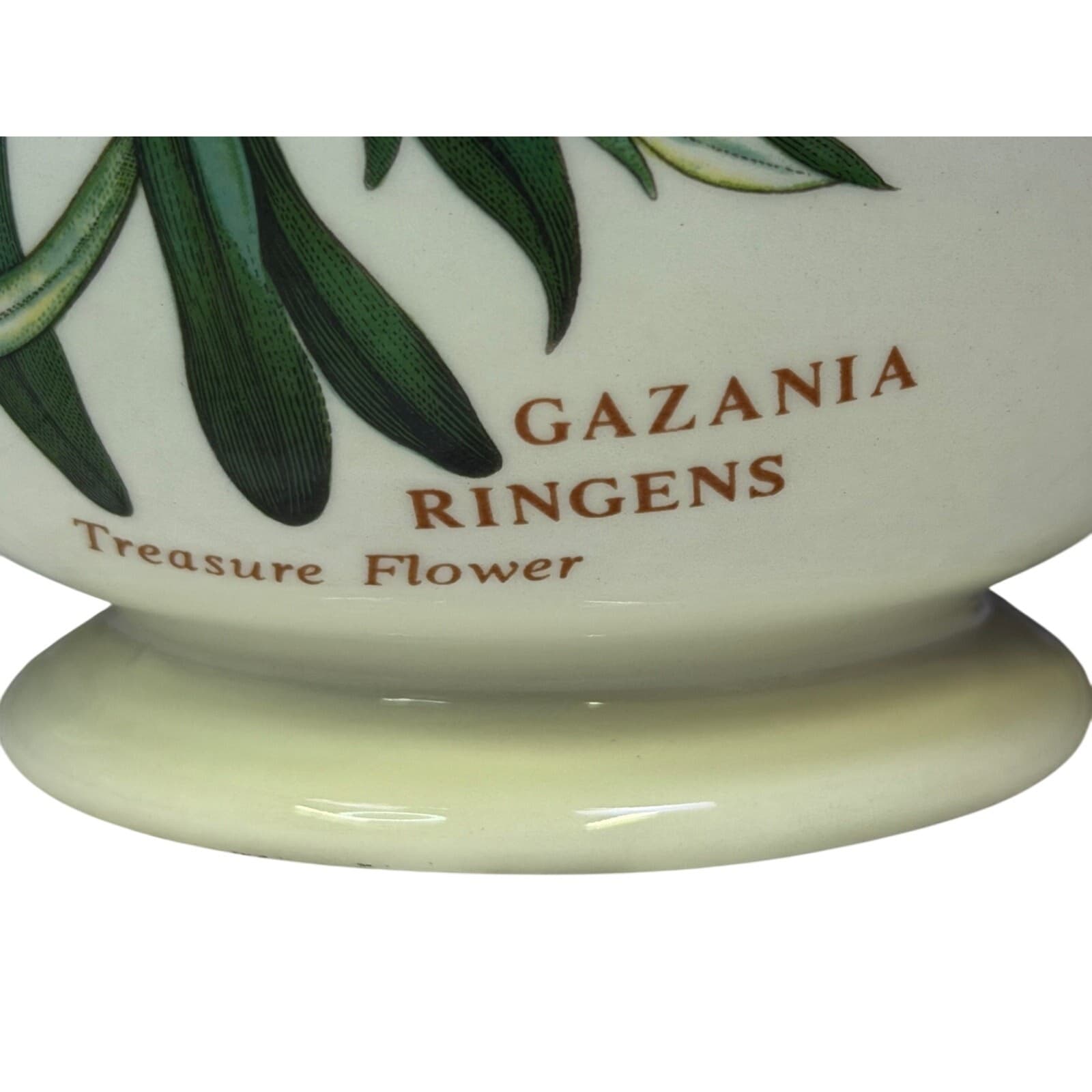 Portmeirion Botanic Garden Coffeepot Treasure Flower England Susan WilliamsEllis - Thumbnail 6
