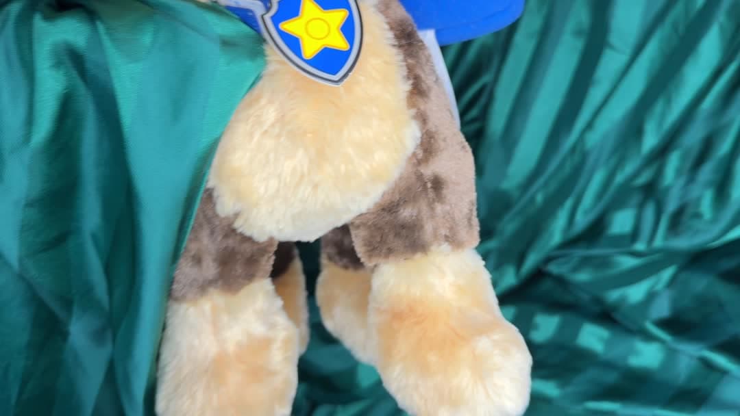 BUNDLE Build-A-Bear Plush Chase & Sky Paw Patrol - Video 14