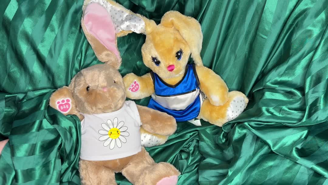 Build-A-Bear Bunny Duo Lot - Pawlette Plush & Rare More Moves Bunny PLUS Outfits - Video 16