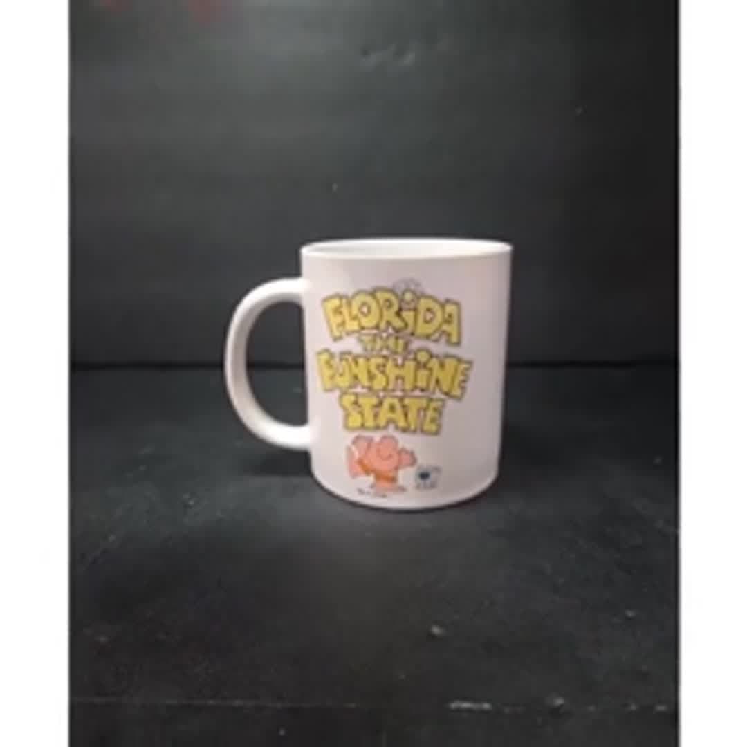 Ziggy Stoneware Coffee Cup, Florida Sunshine State Souvenir, Vintage Tom Wilson - Video 11