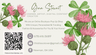 Thistle & Clover Boutique-Curated Finds