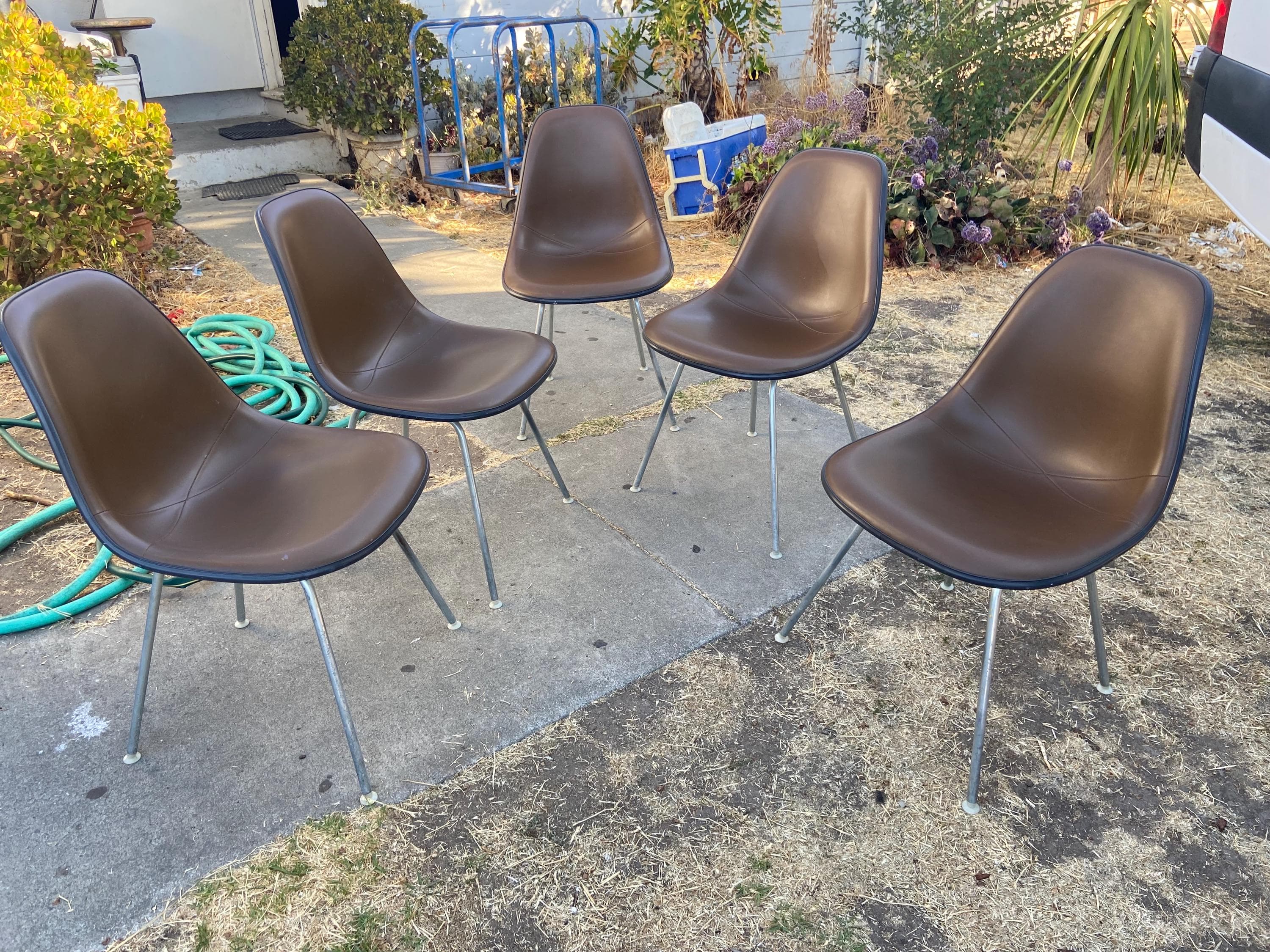 vintage Herman miller Eames DSX side chairs set of 5 - Image 1