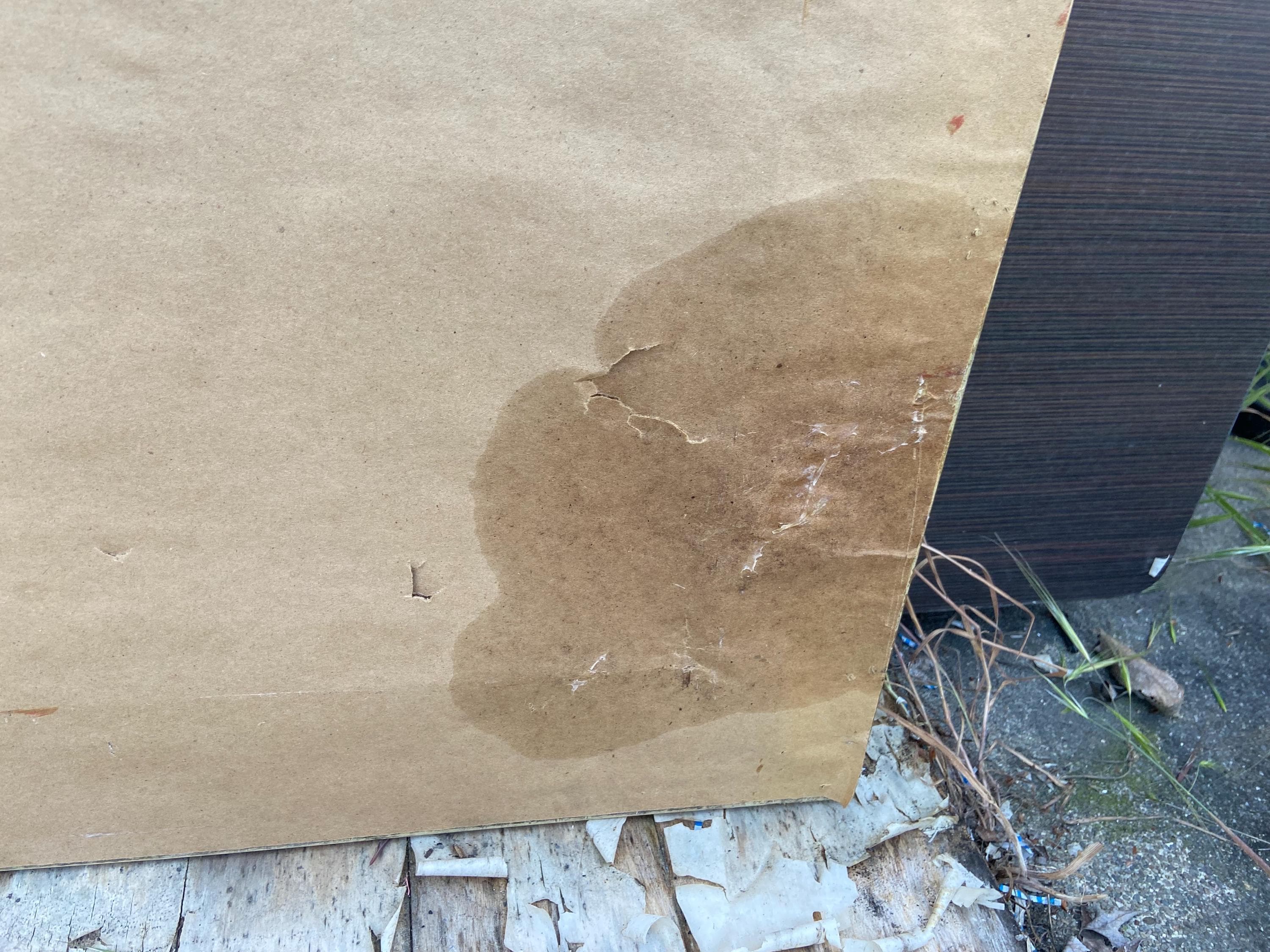 Salvador Dali biblia sacra lithograph - Thumbnail 9