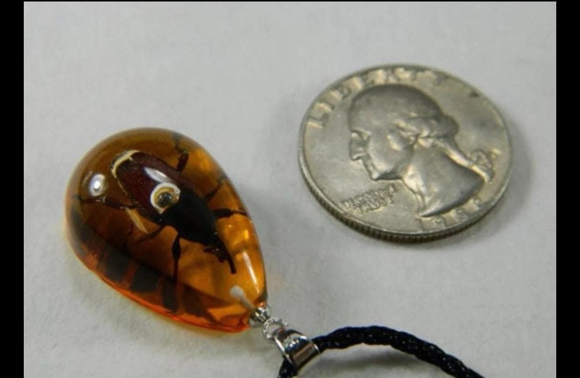 33 mm real Beatle Necklace - Thumbnail 2